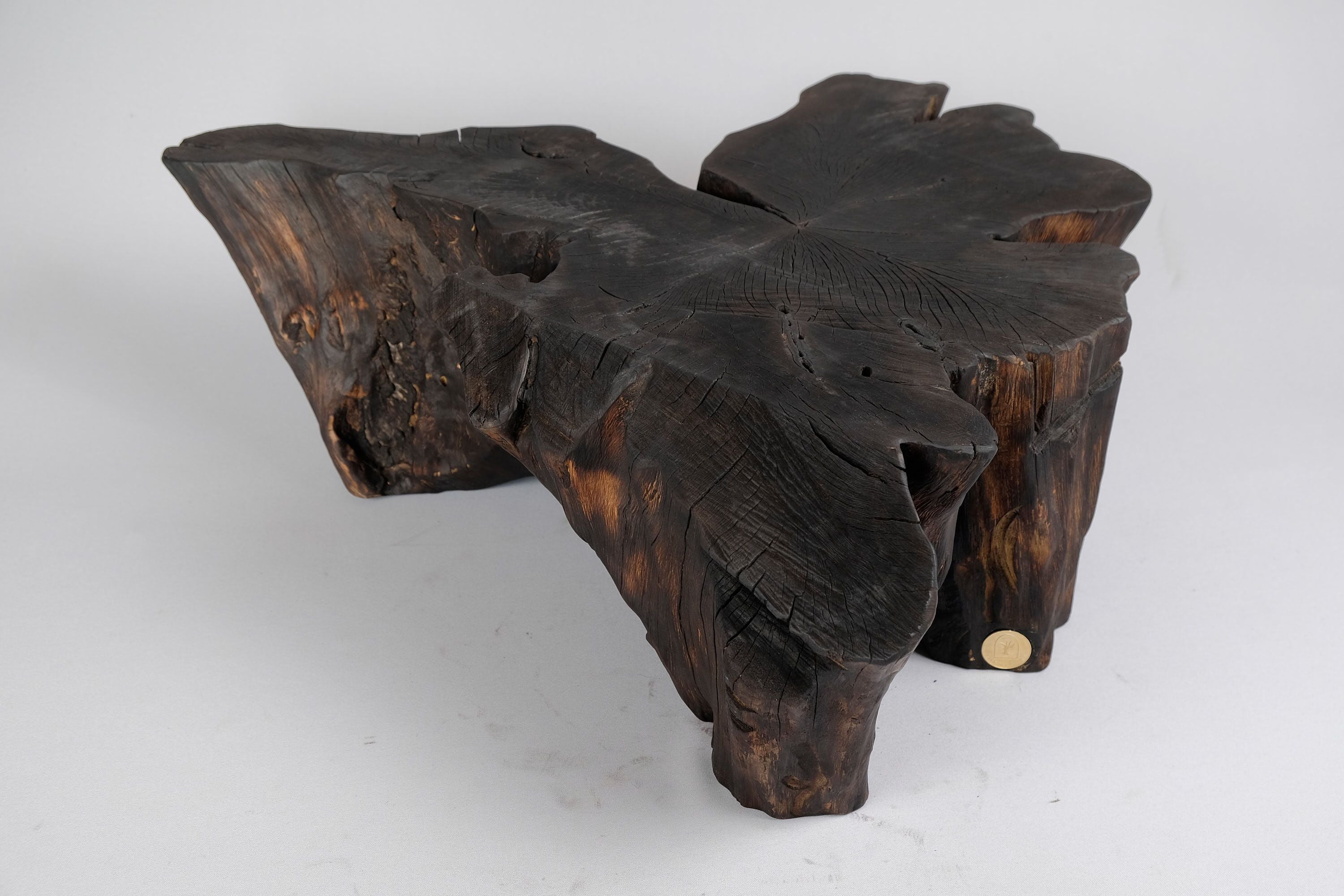 Jownik, Charred Rootform Coffee Table - image 3