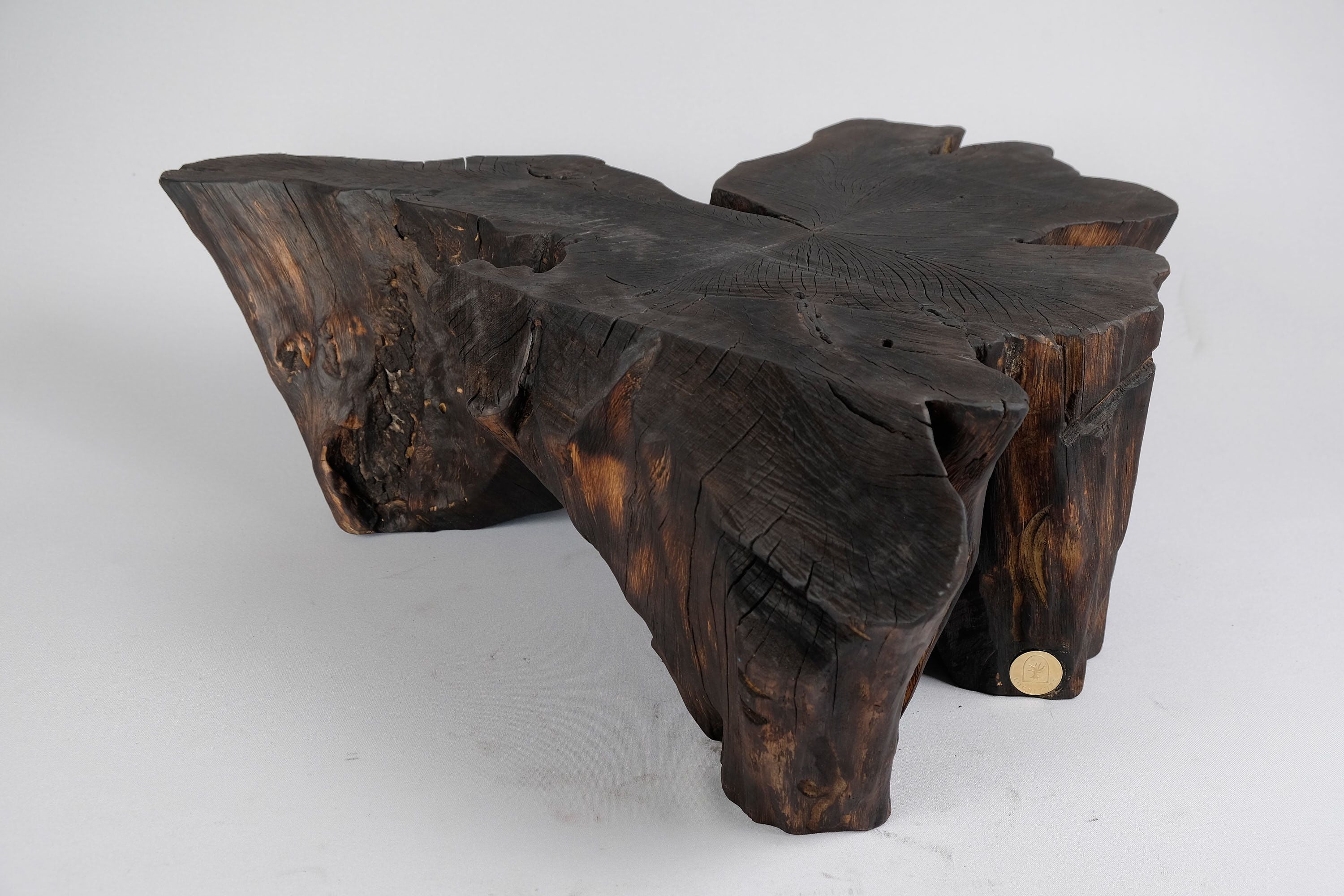 Jownik, Charred Rootform Coffee Table - image 4