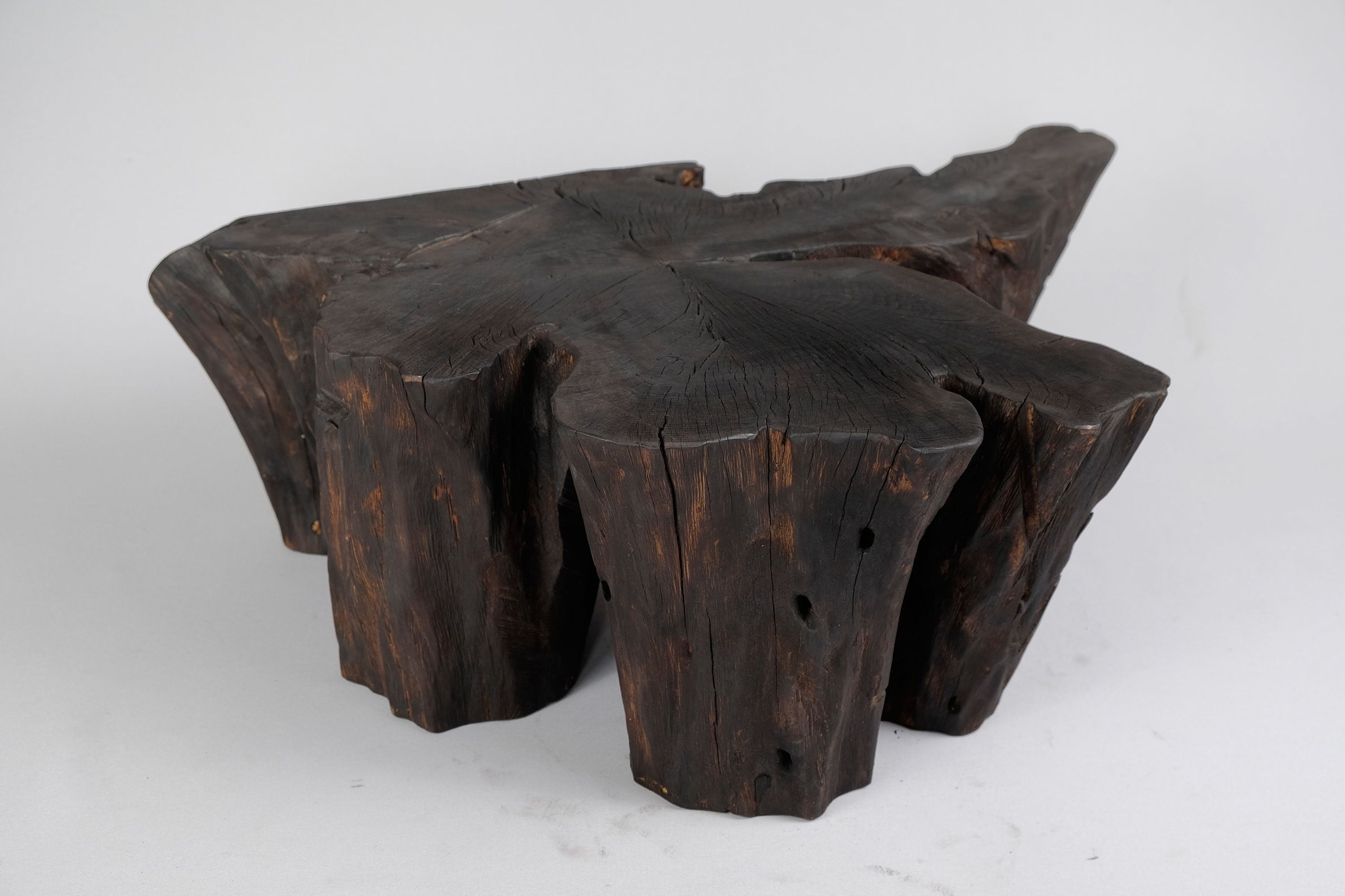 Jownik, Charred Rootform Coffee Table - image 8