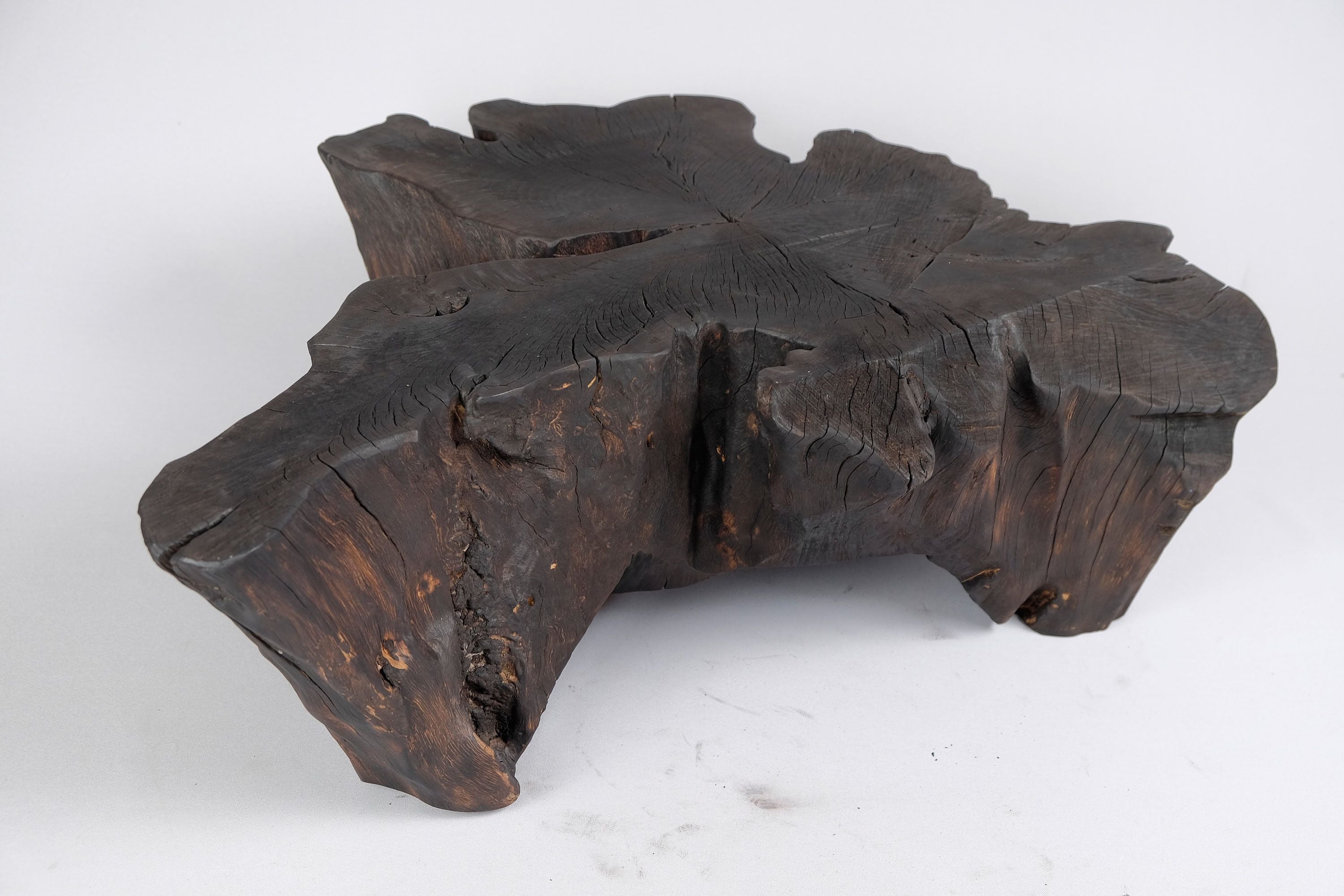 Jownik, Charred Rootform Coffee Table - image 14