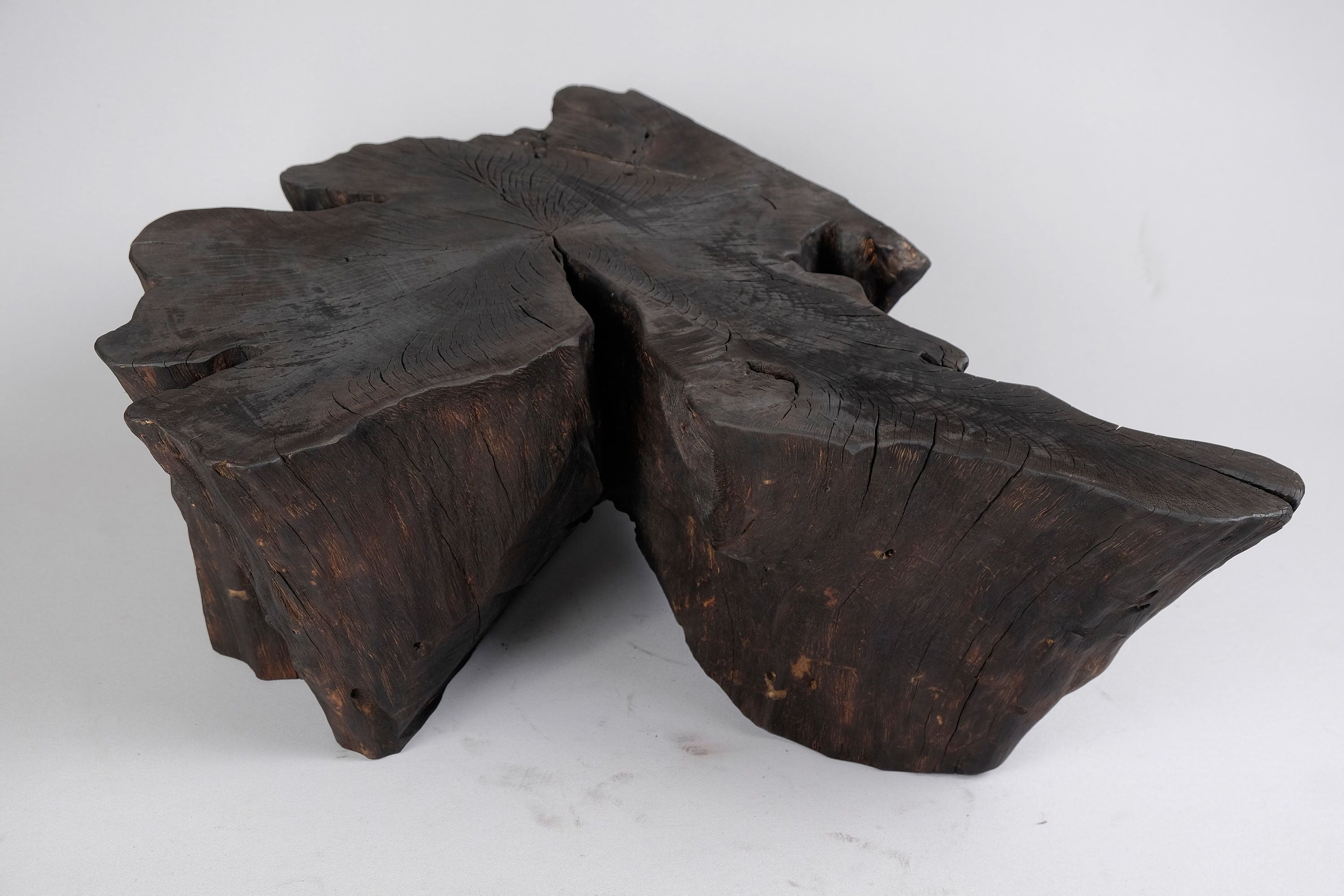 Jownik, Charred Rootform Coffee Table - image 11