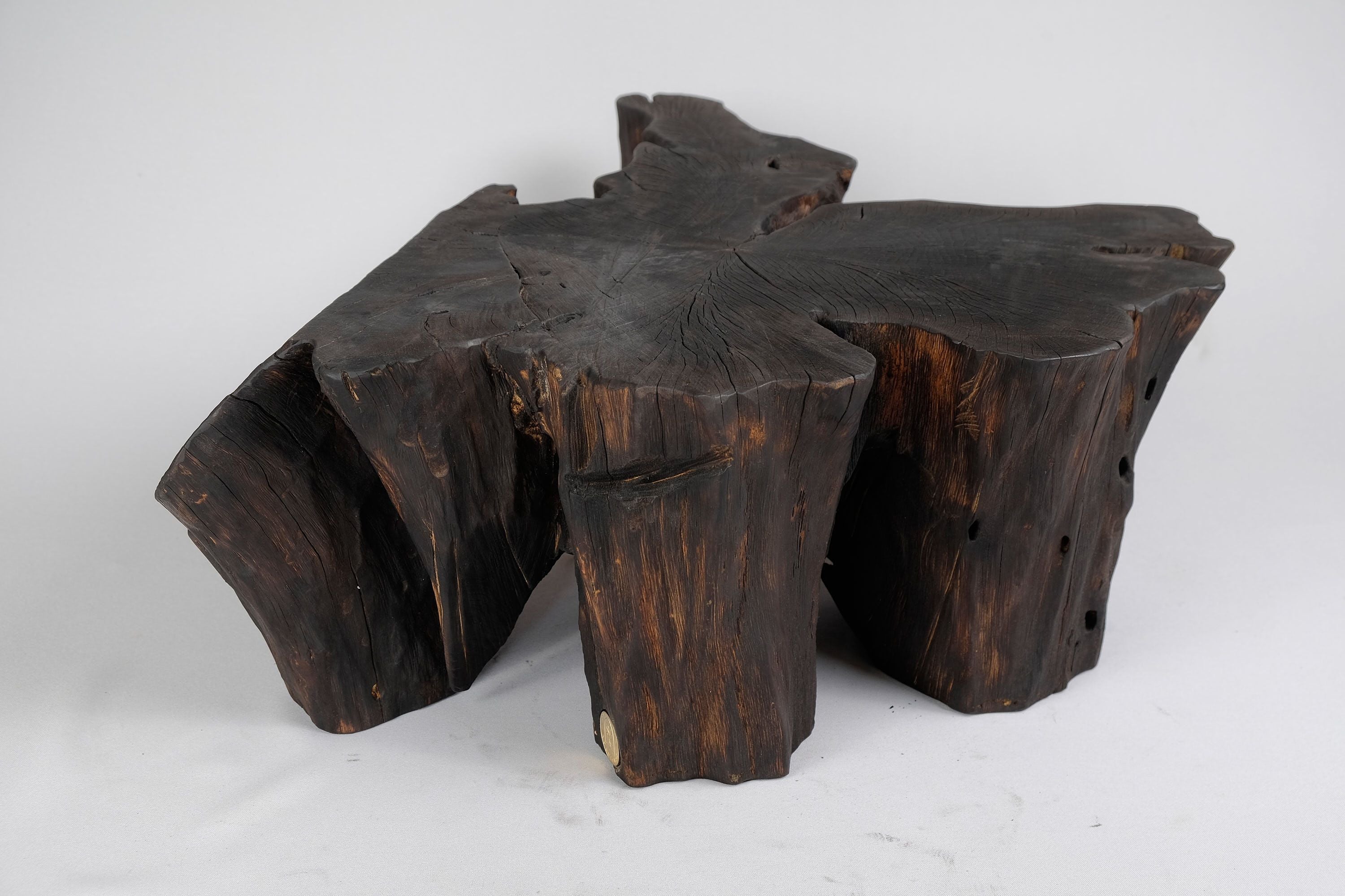Jownik, Charred Rootform Coffee Table - image 5
