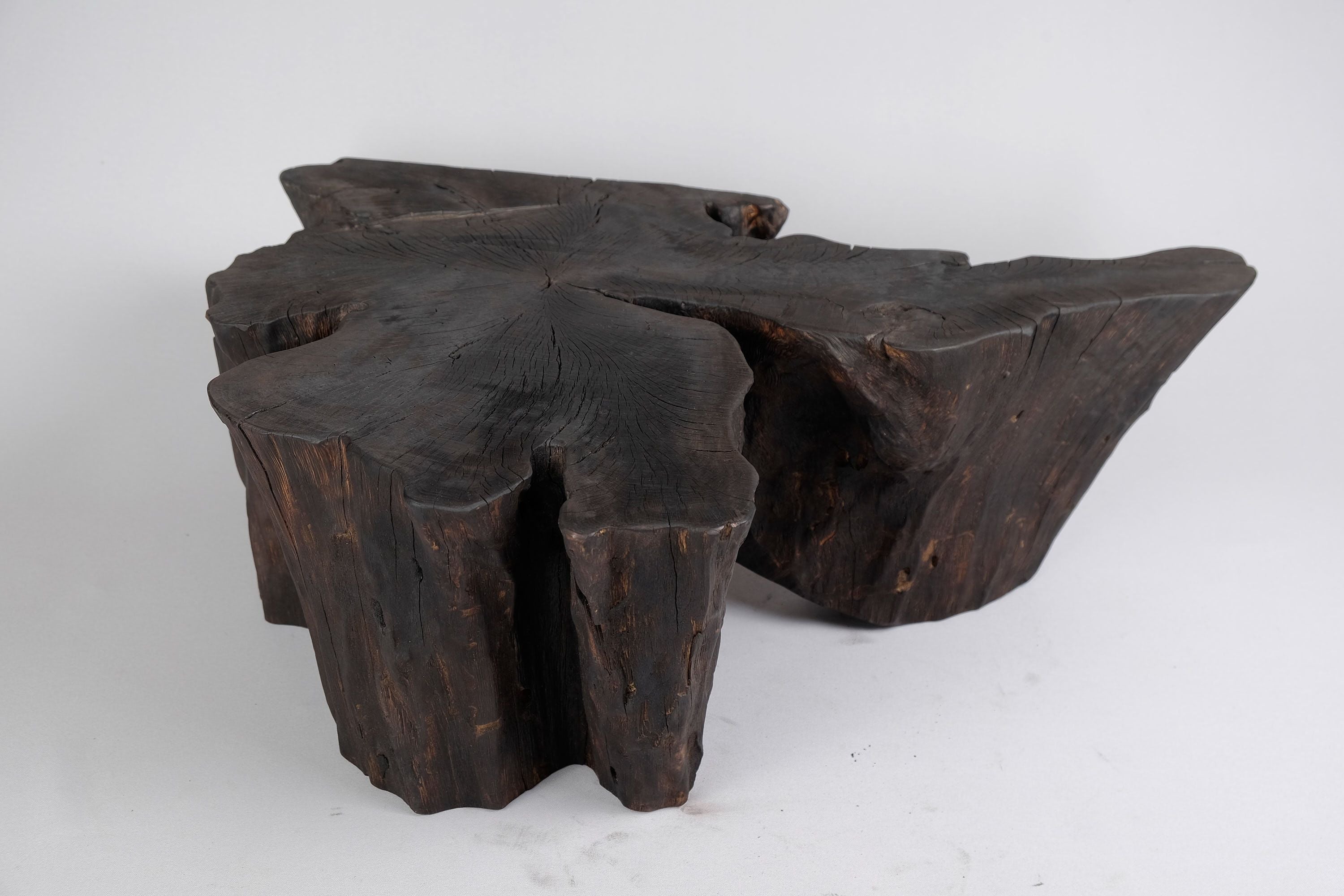 Jownik, Charred Rootform Coffee Table - image 10