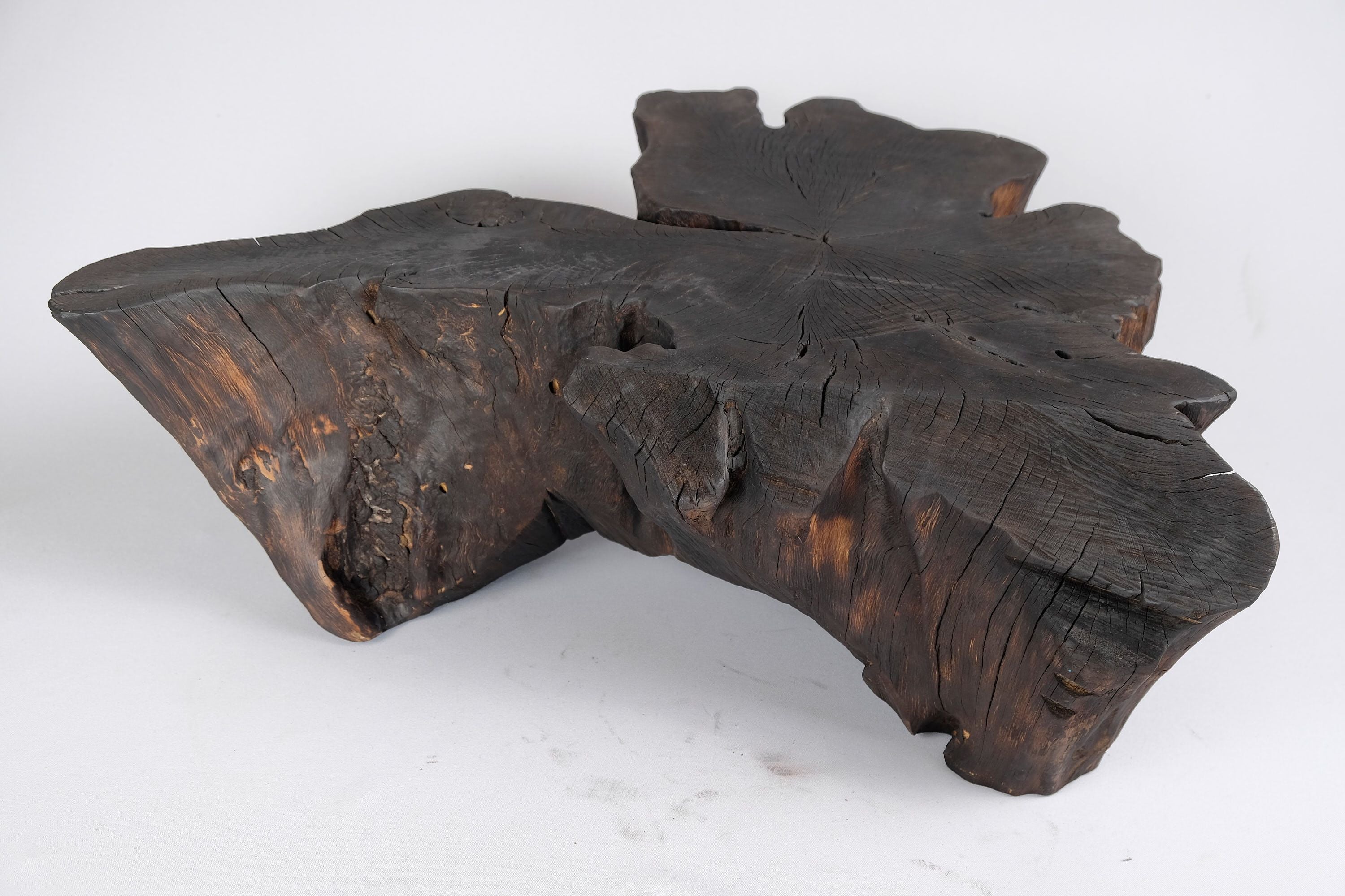 Jownik, Charred Rootform Coffee Table - image 15