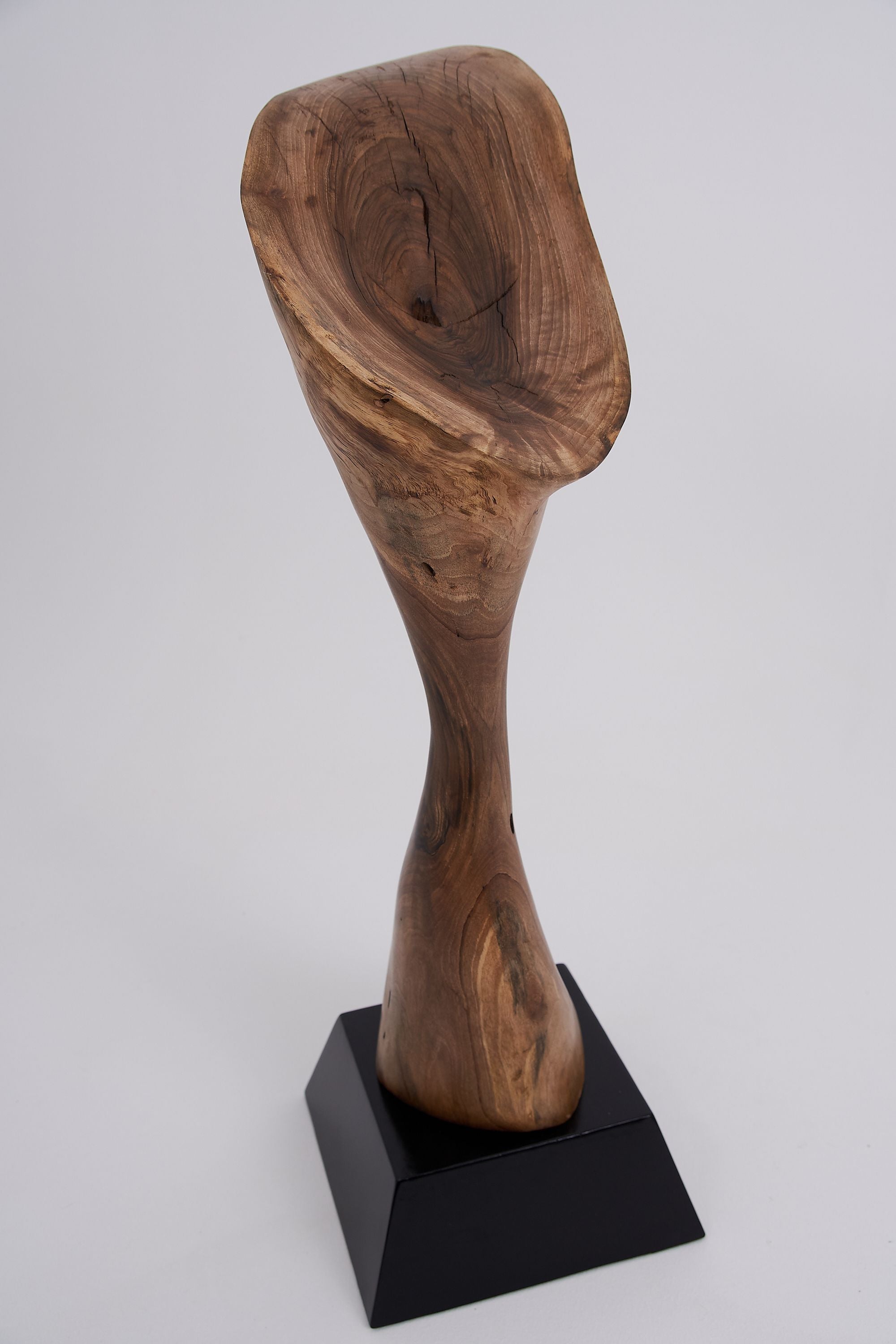 Still Stand Abstract Wood Sculpture - image 11