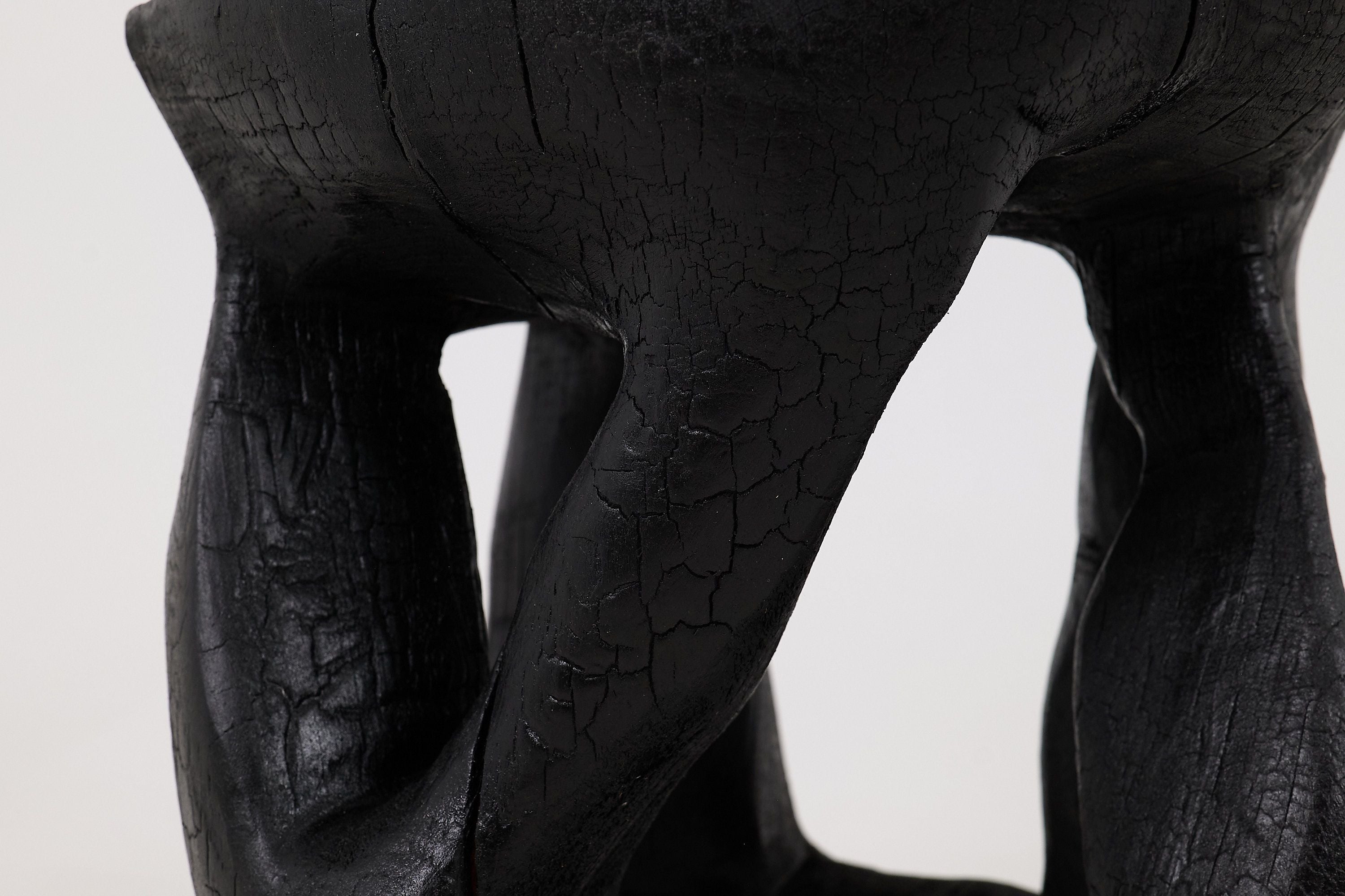 Satyrs - image 7