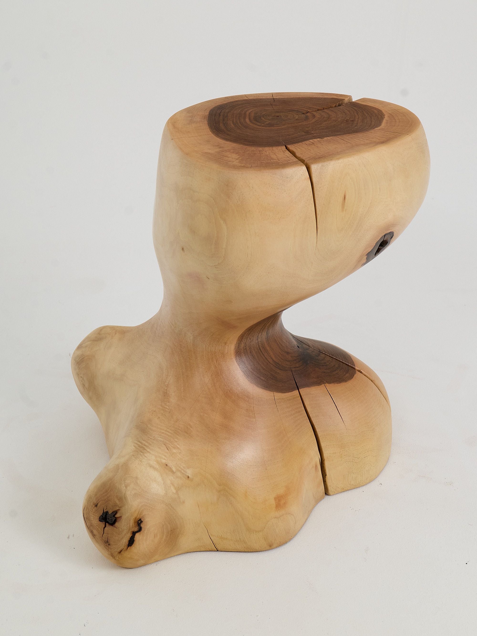 Leszy, Sculptural Side Table Carved in Solid Wood - image 15
