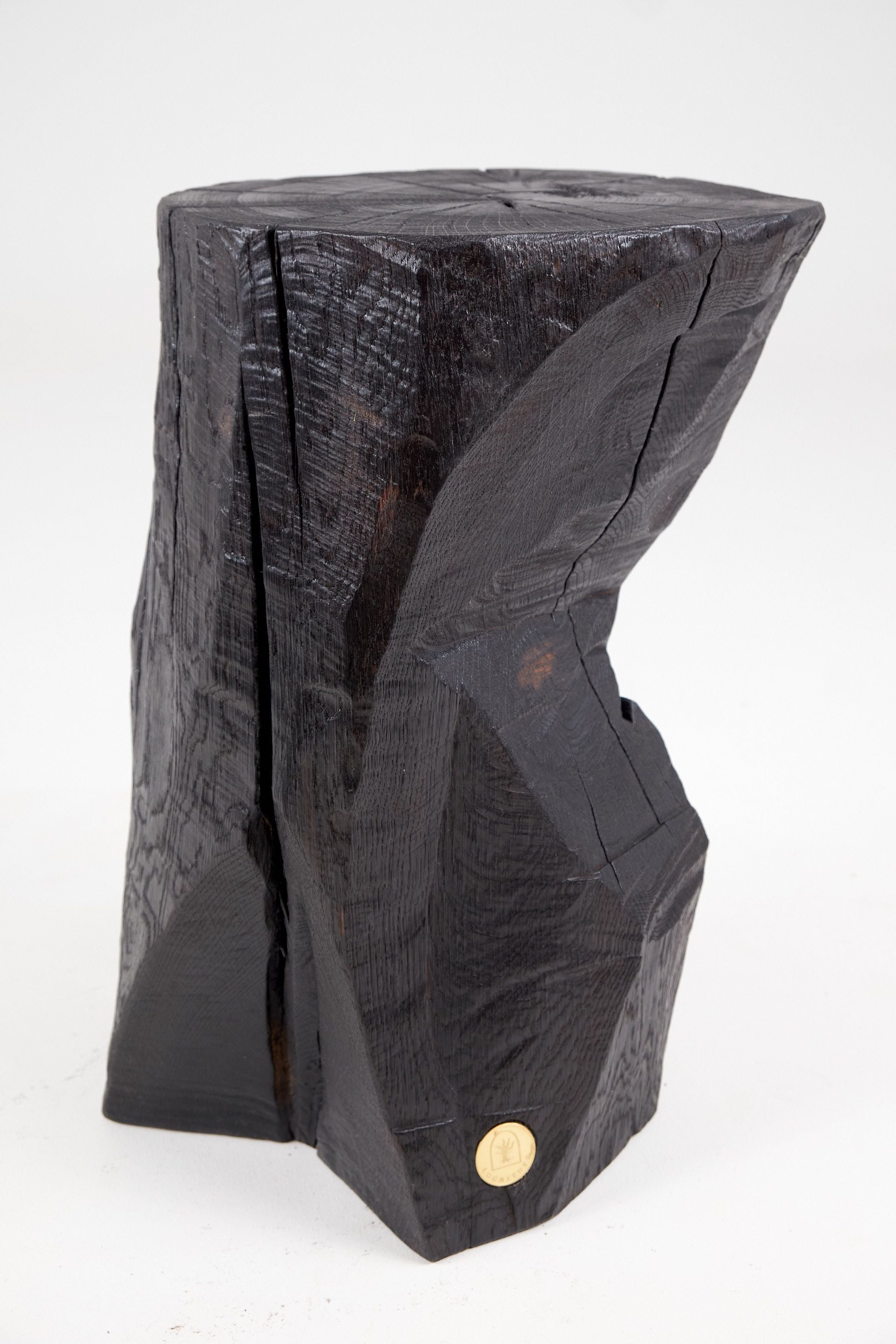 Jownik, Sculptural Charred Side Table - image 3
