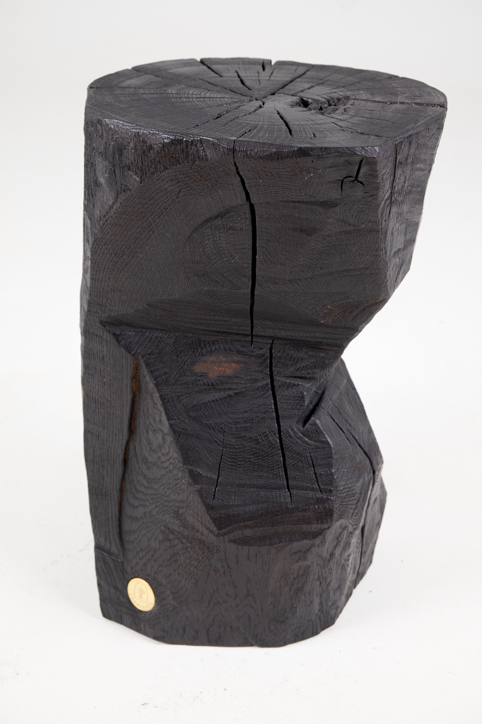 Jownik, Sculptural Charred Side Table - image 6