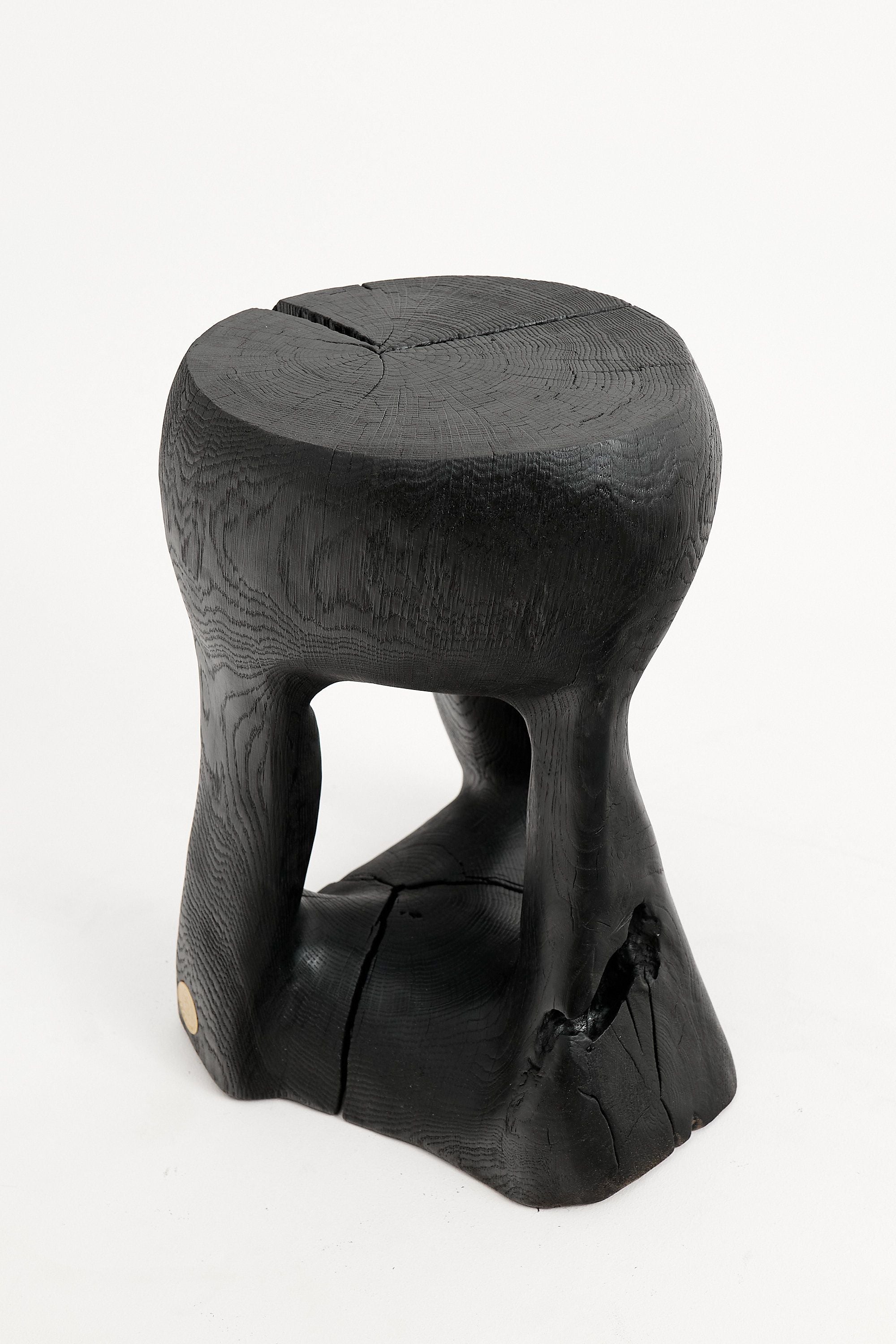 Jownik, Charred Sculptural Side Table - image 7