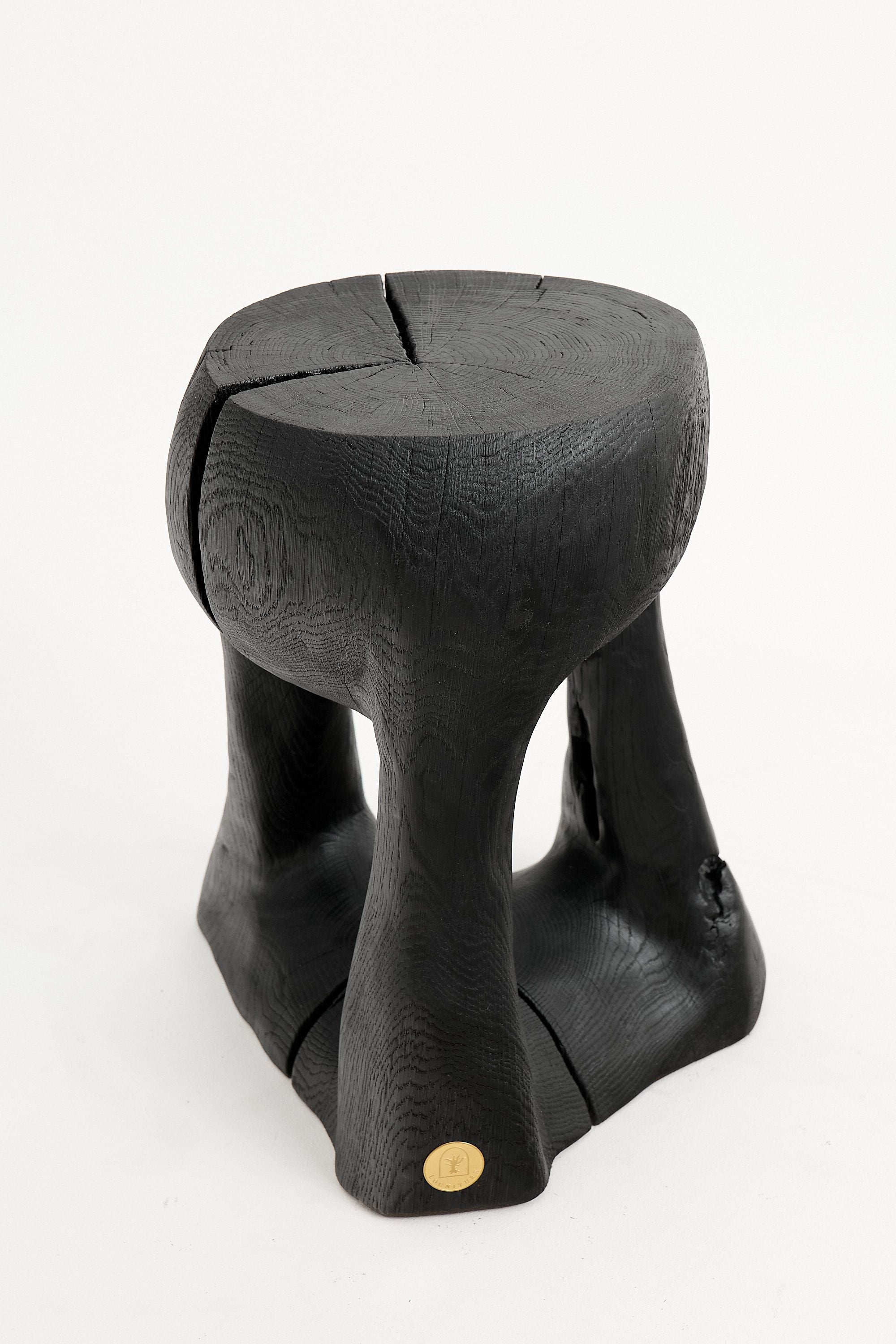 Jownik, Charred Sculptural Side Table - image 5
