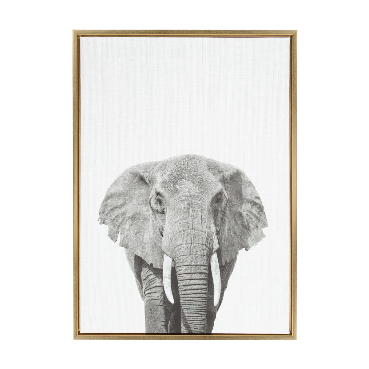 Sylvie Elephant Framed Canvas by Simon Te of Tai Prints