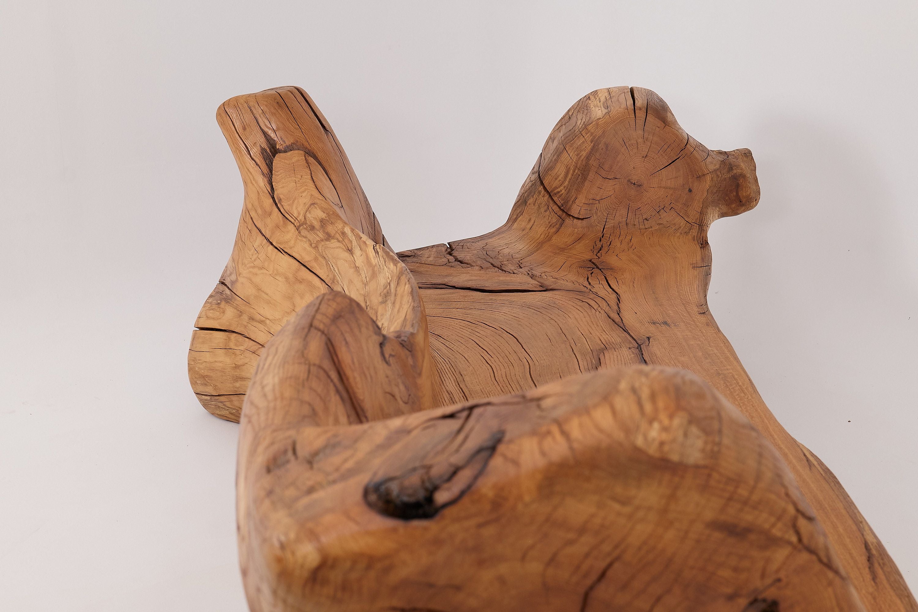 XXL Solid Carved Wood Bench With Raw Organic Form Indoor, & Outdoor, Logniture - image 15