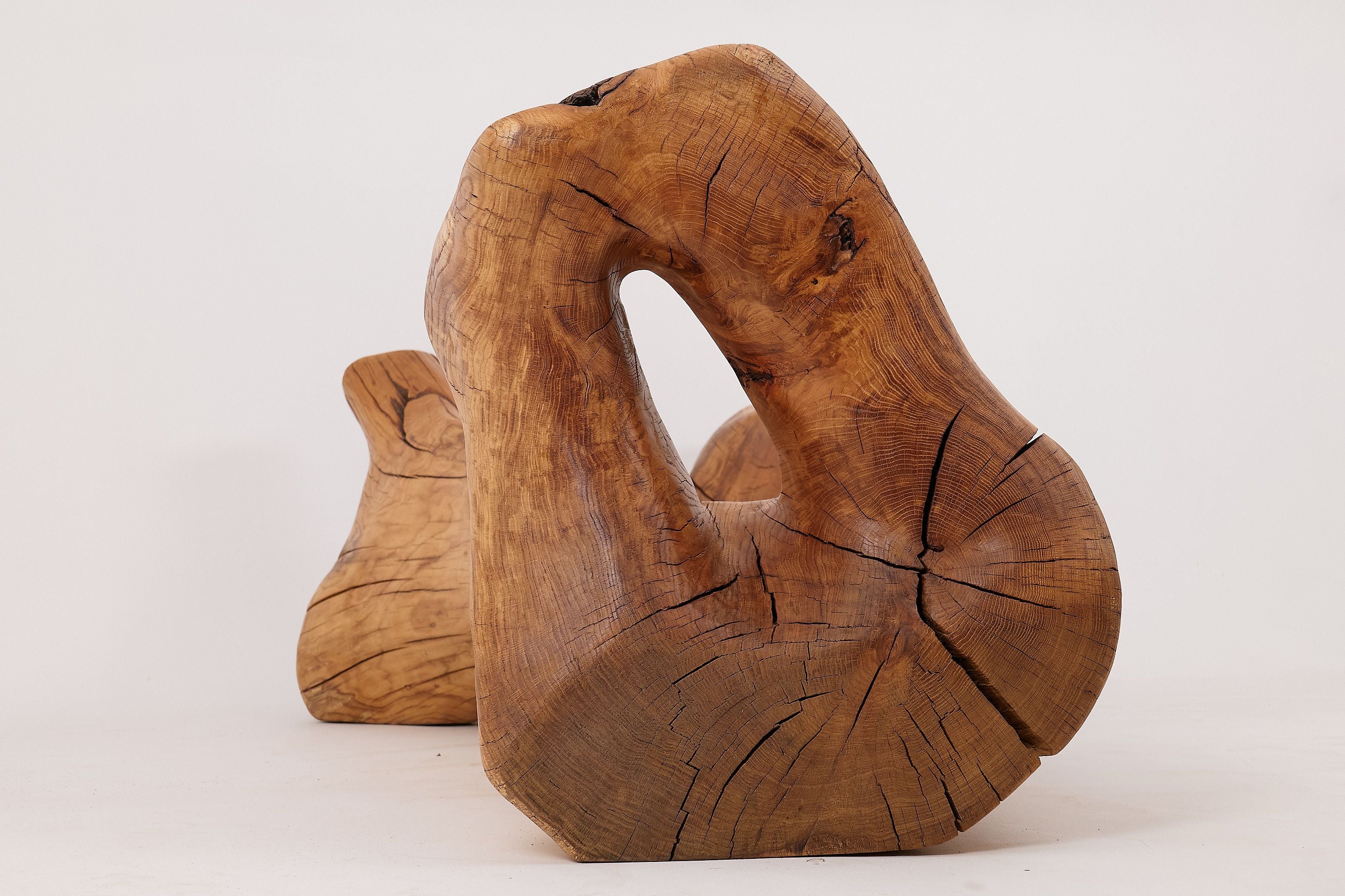 XXL Solid Carved Wood Bench With Raw Organic Form Indoor, & Outdoor, Logniture - image 16