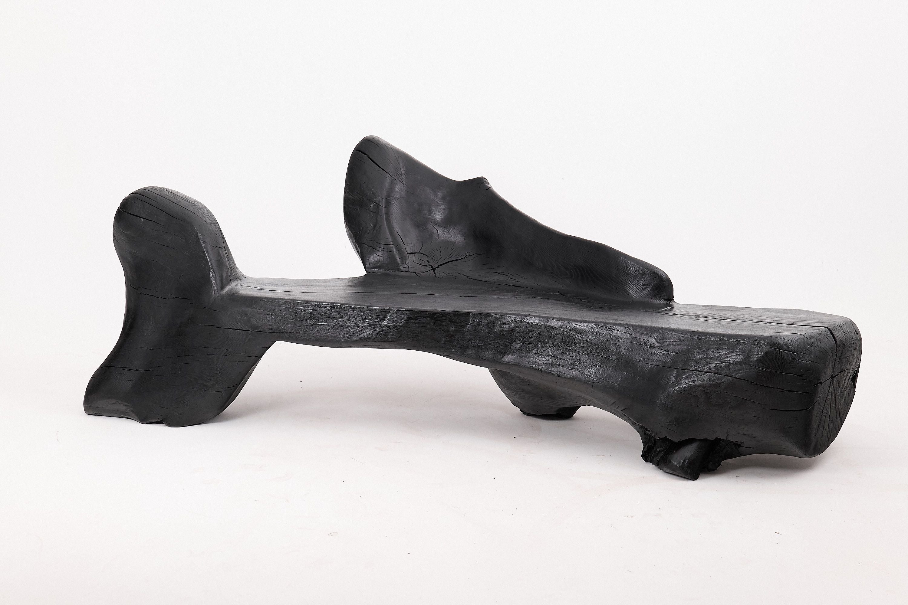 XXL Sculptural Charred Wood Bench in Organic Form, Hand-Carved from Solid Log