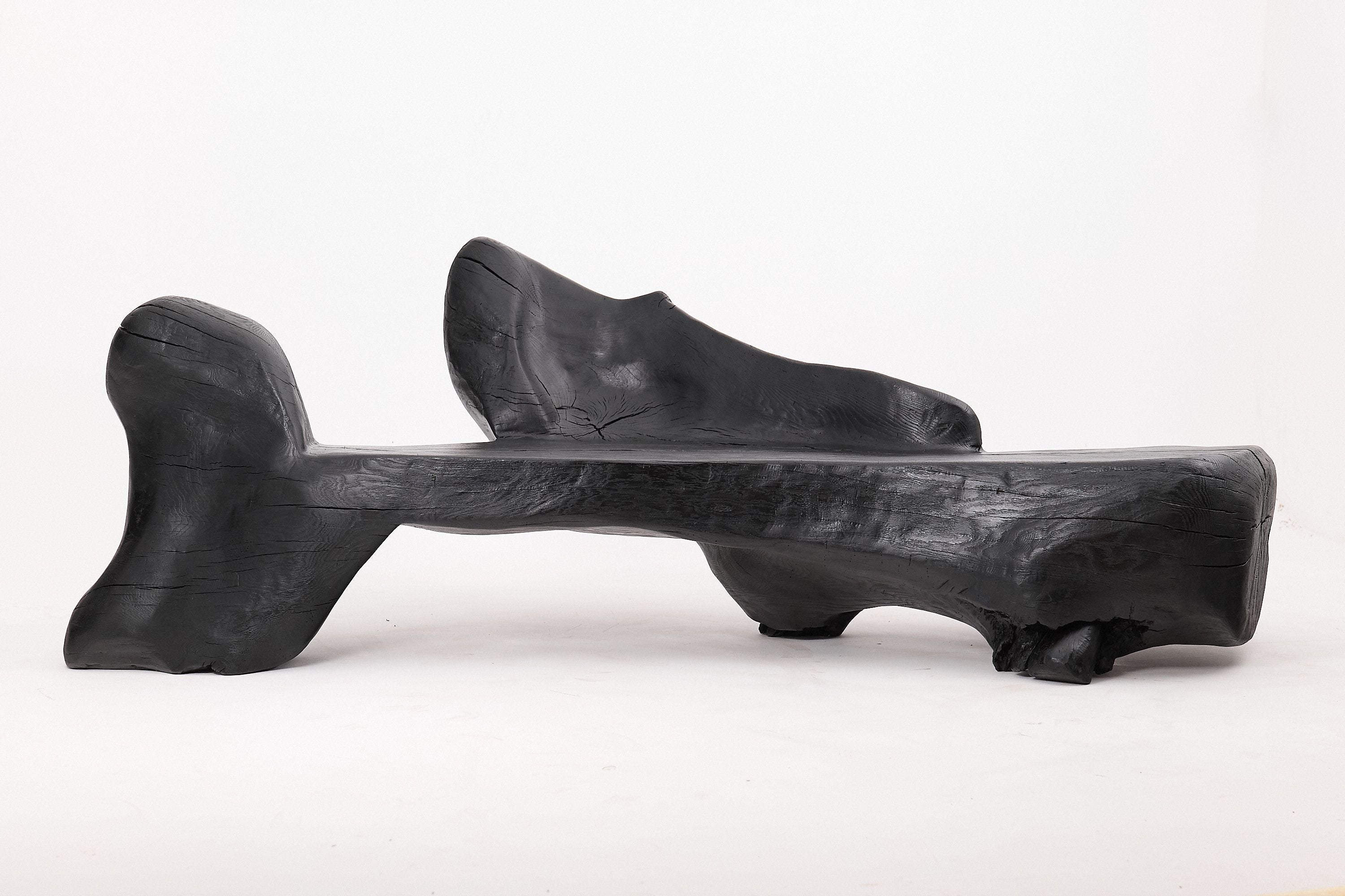 XXL Sculptural Charred Wood Bench in Organic Form, Hand-Carved from Solid Log - image 3