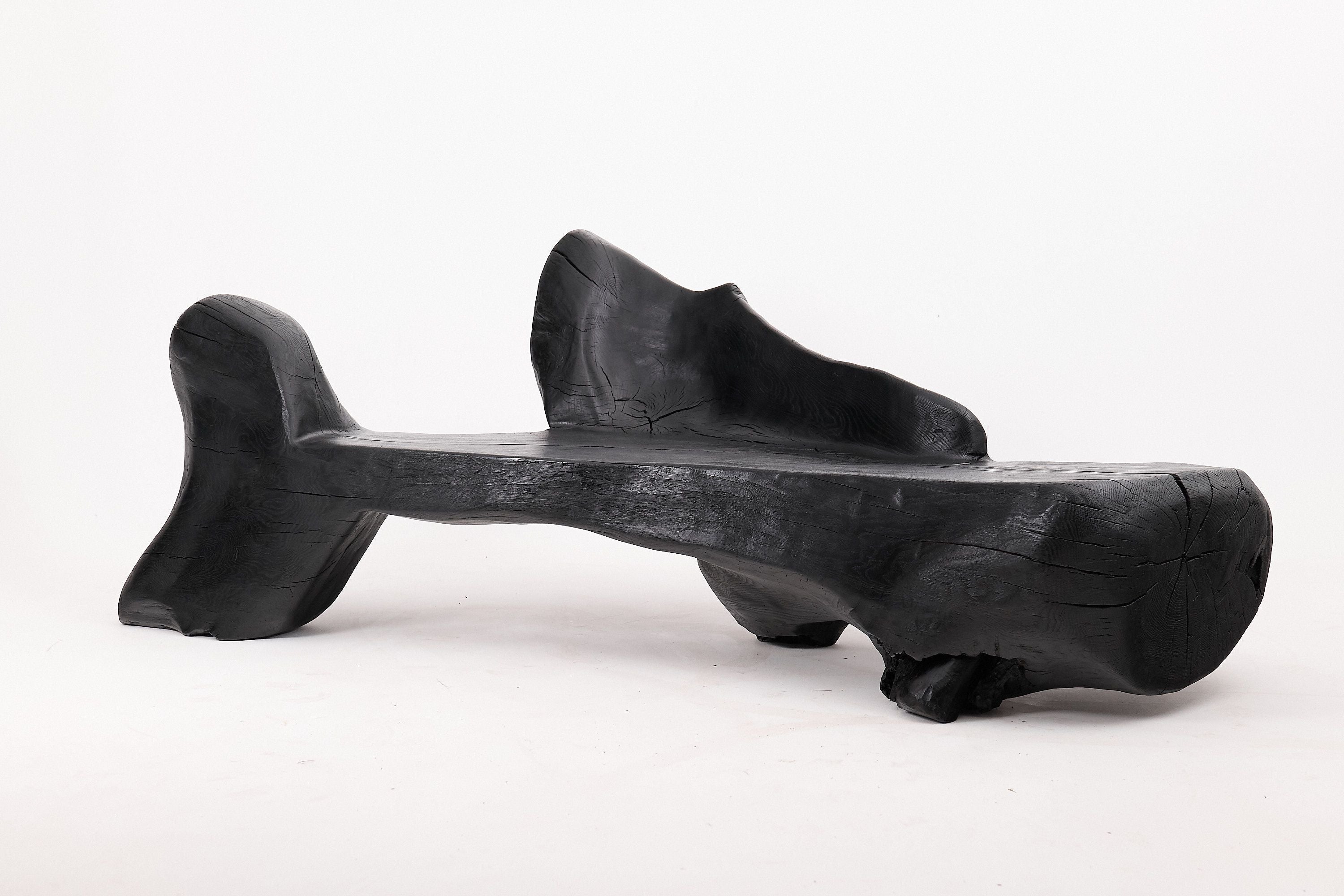 XXL Sculptural Charred Wood Bench in Organic Form, Hand-Carved from Solid Log - image 2