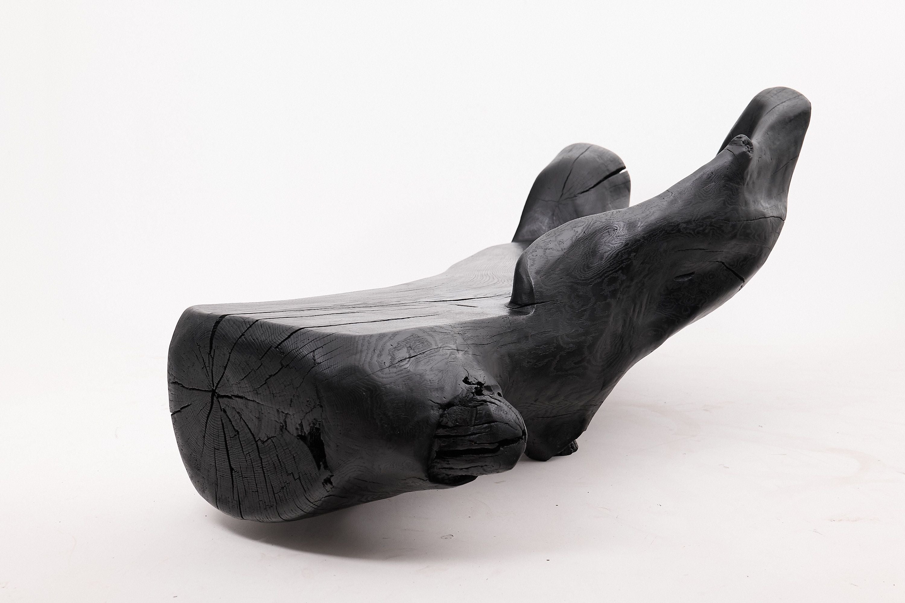 XXL Sculptural Charred Wood Bench in Organic Form, Hand-Carved from Solid Log - image 7