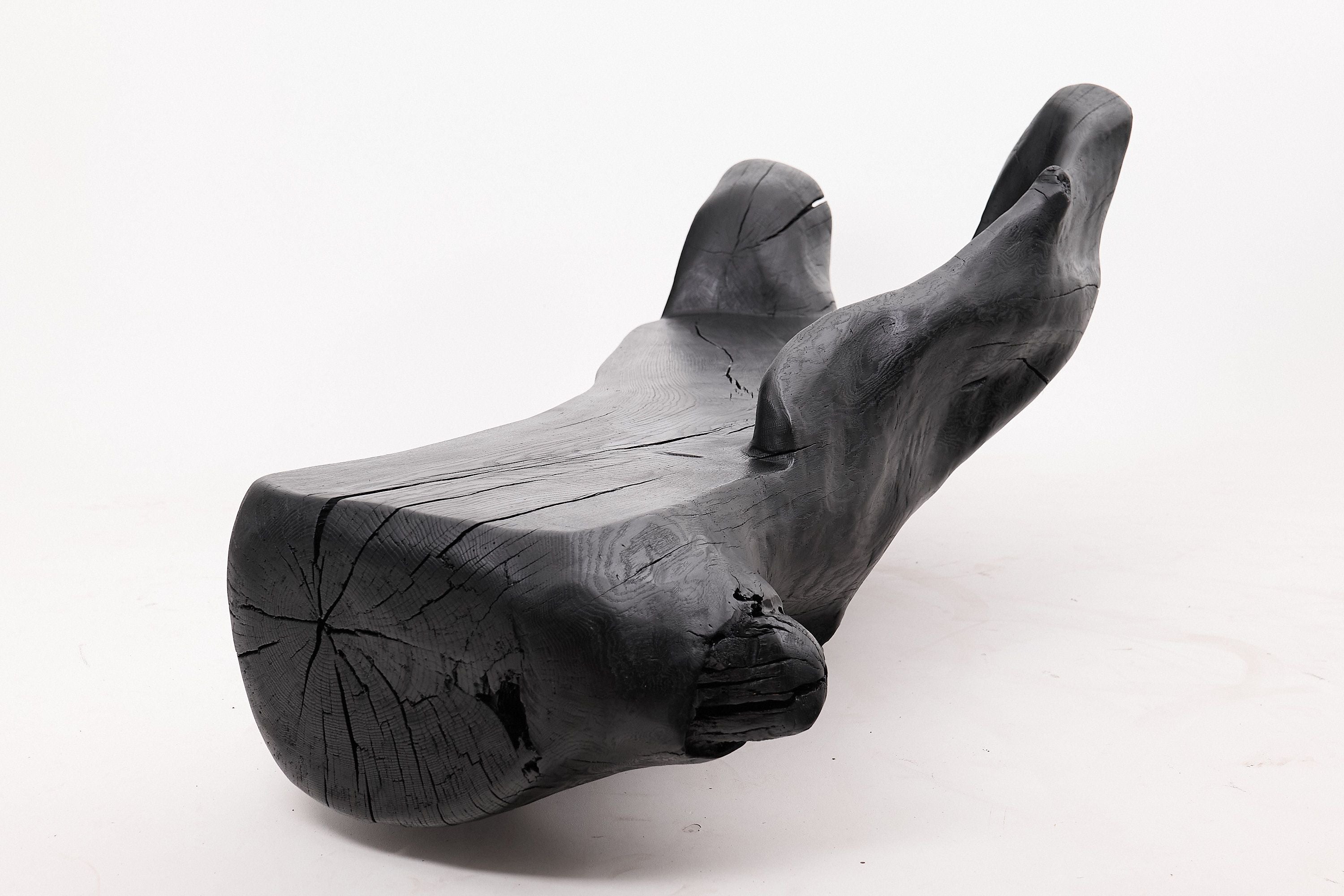 XXL Sculptural Charred Wood Bench in Organic Form, Hand-Carved from Solid Log - image 8