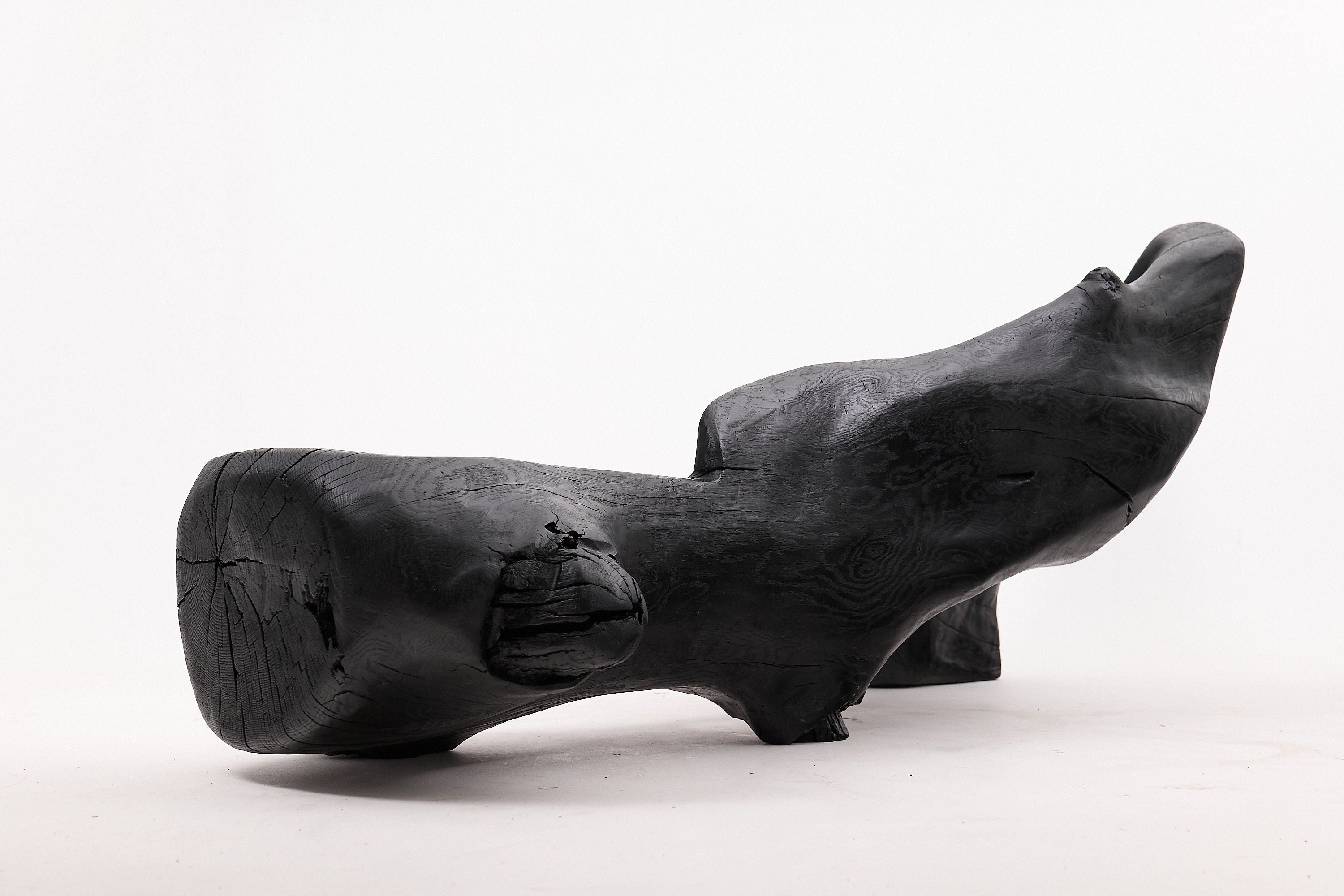 XXL Sculptural Charred Wood Bench in Organic Form, Hand-Carved from Solid Log - image 9