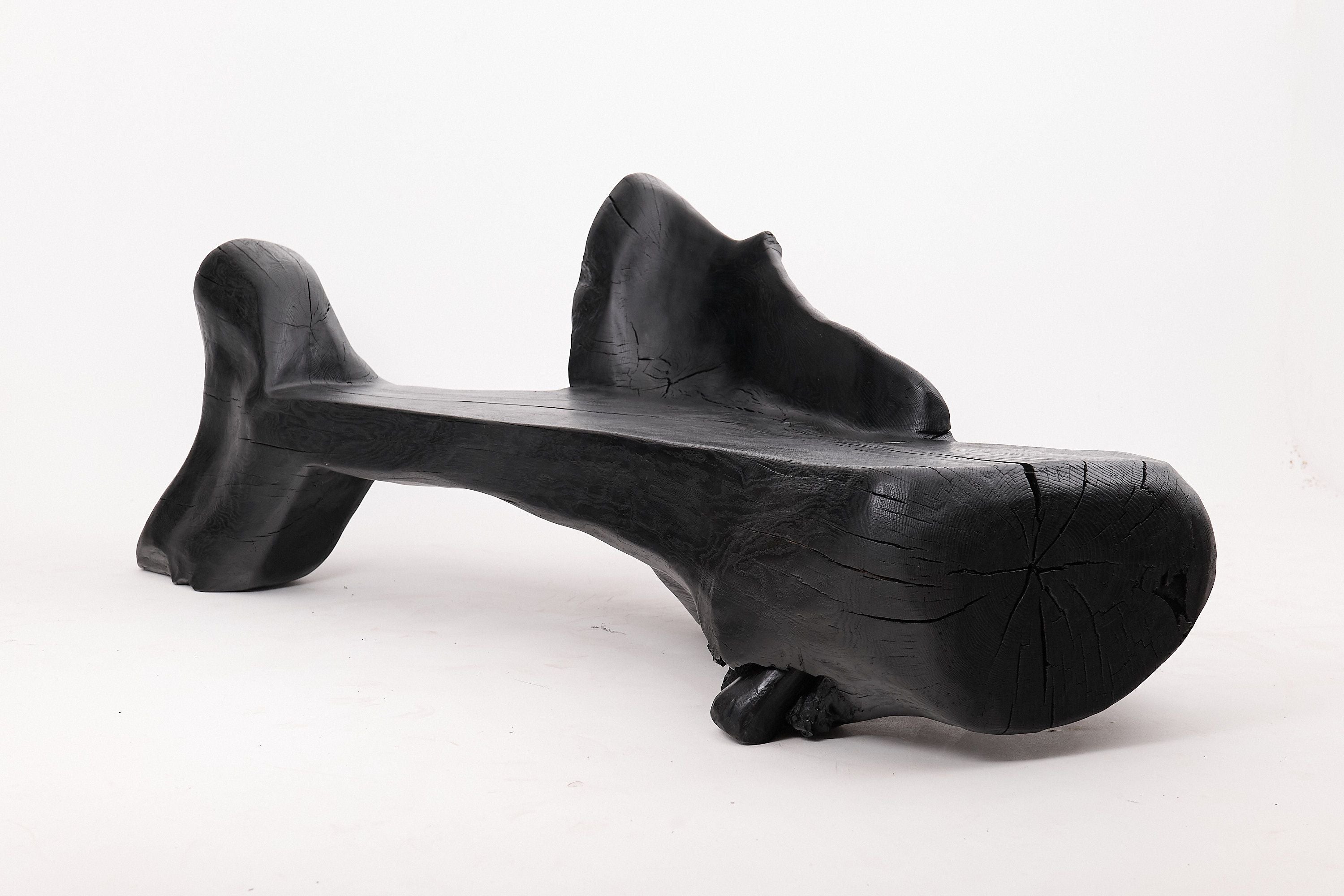 XXL Sculptural Charred Wood Bench in Organic Form, Hand-Carved from Solid Log - image 4