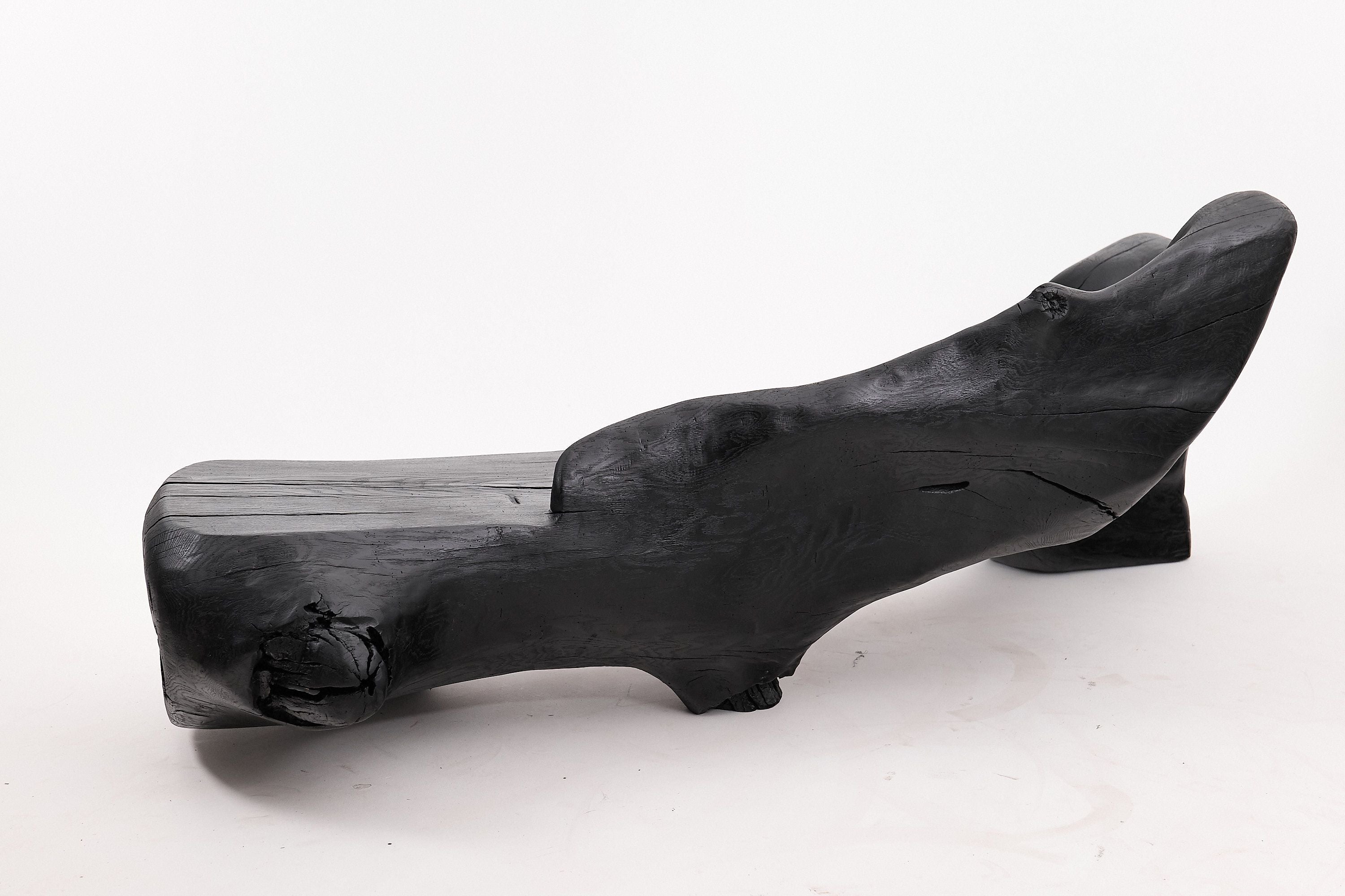 XXL Sculptural Charred Wood Bench in Organic Form, Hand-Carved from Solid Log - image 10