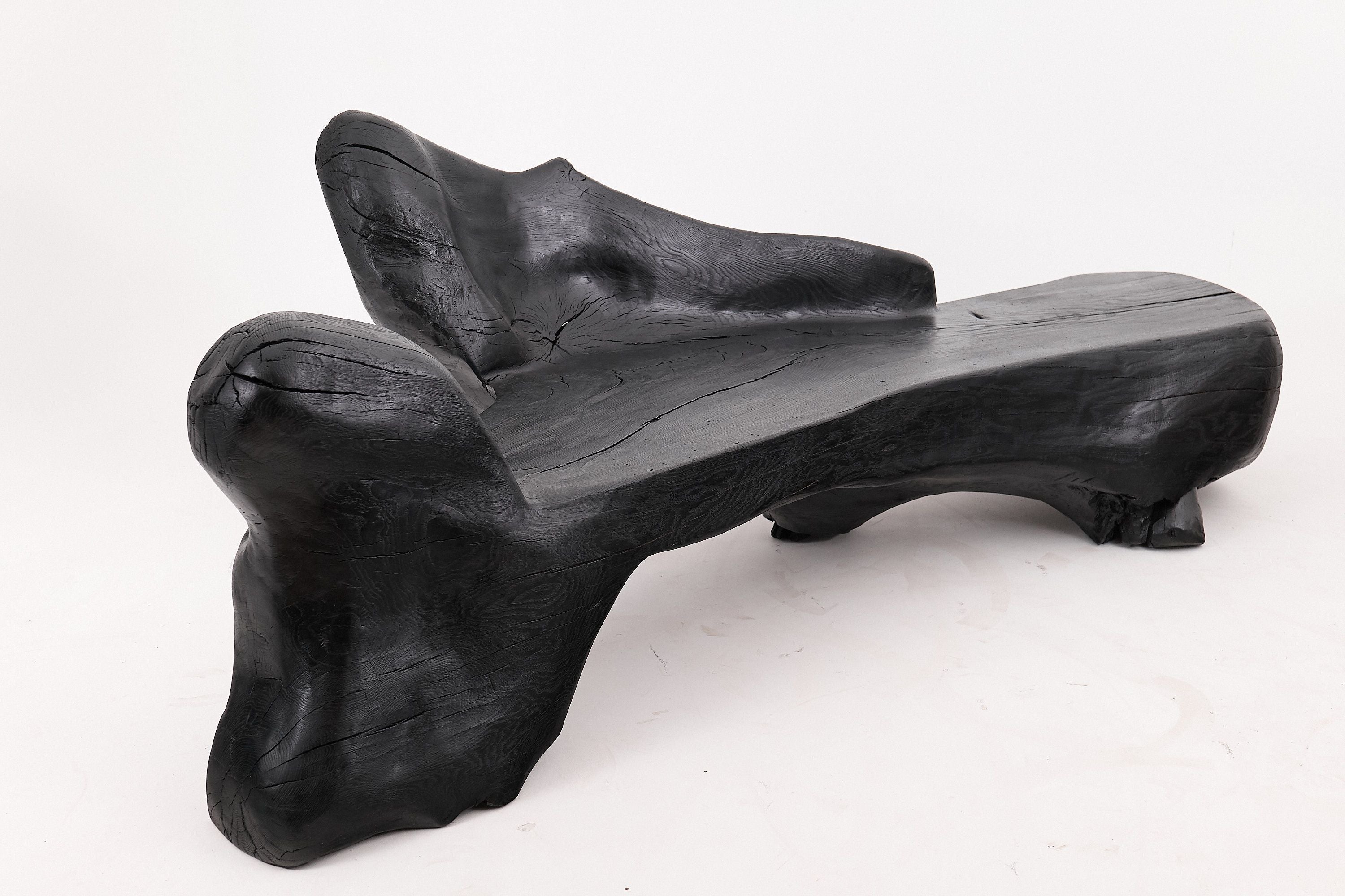 XXL Sculptural Charred Wood Bench in Organic Form, Hand-Carved from Solid Log - image 19