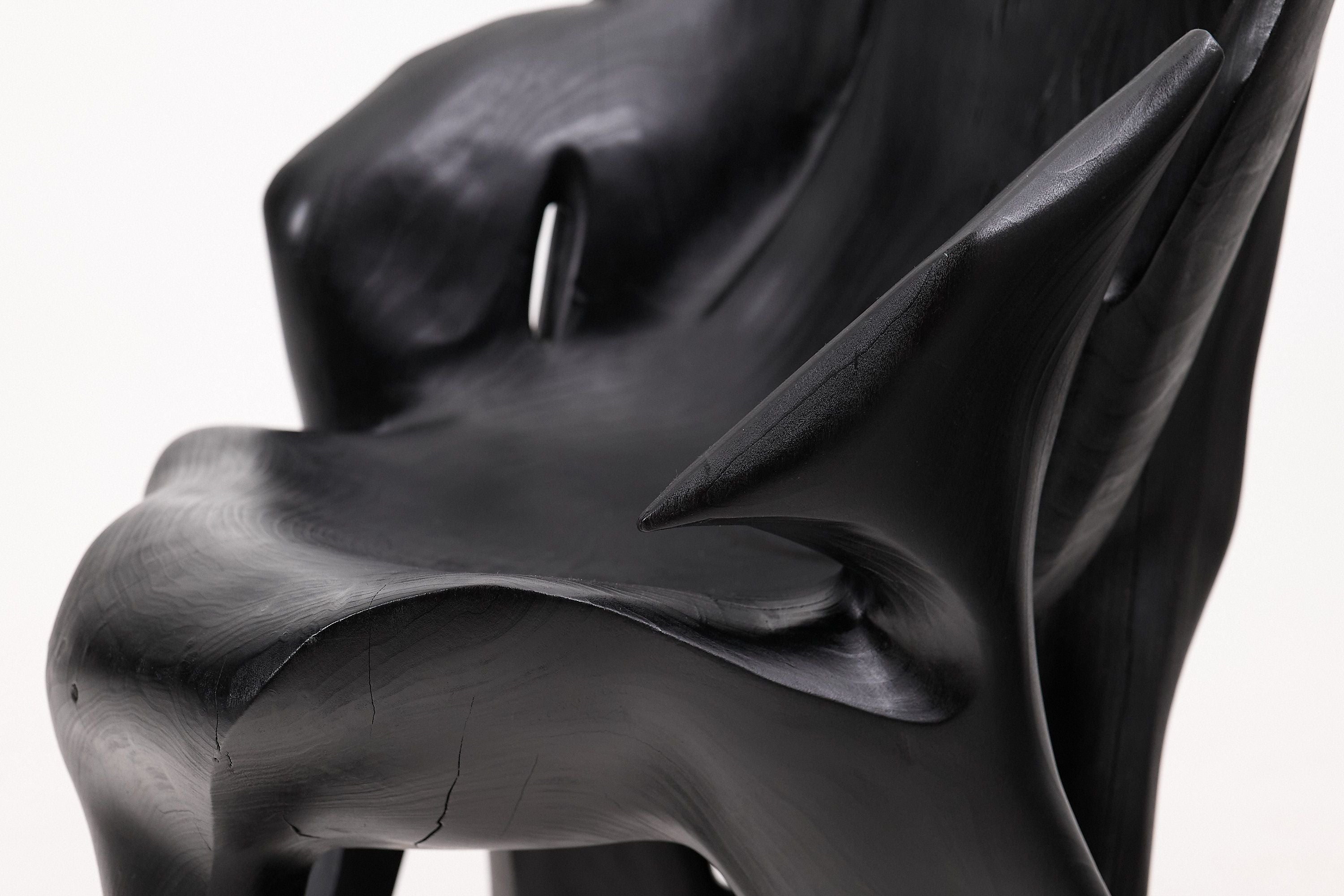 Sculptural Black Charred Wood Armchair in Organic Form by Logniture - image 3