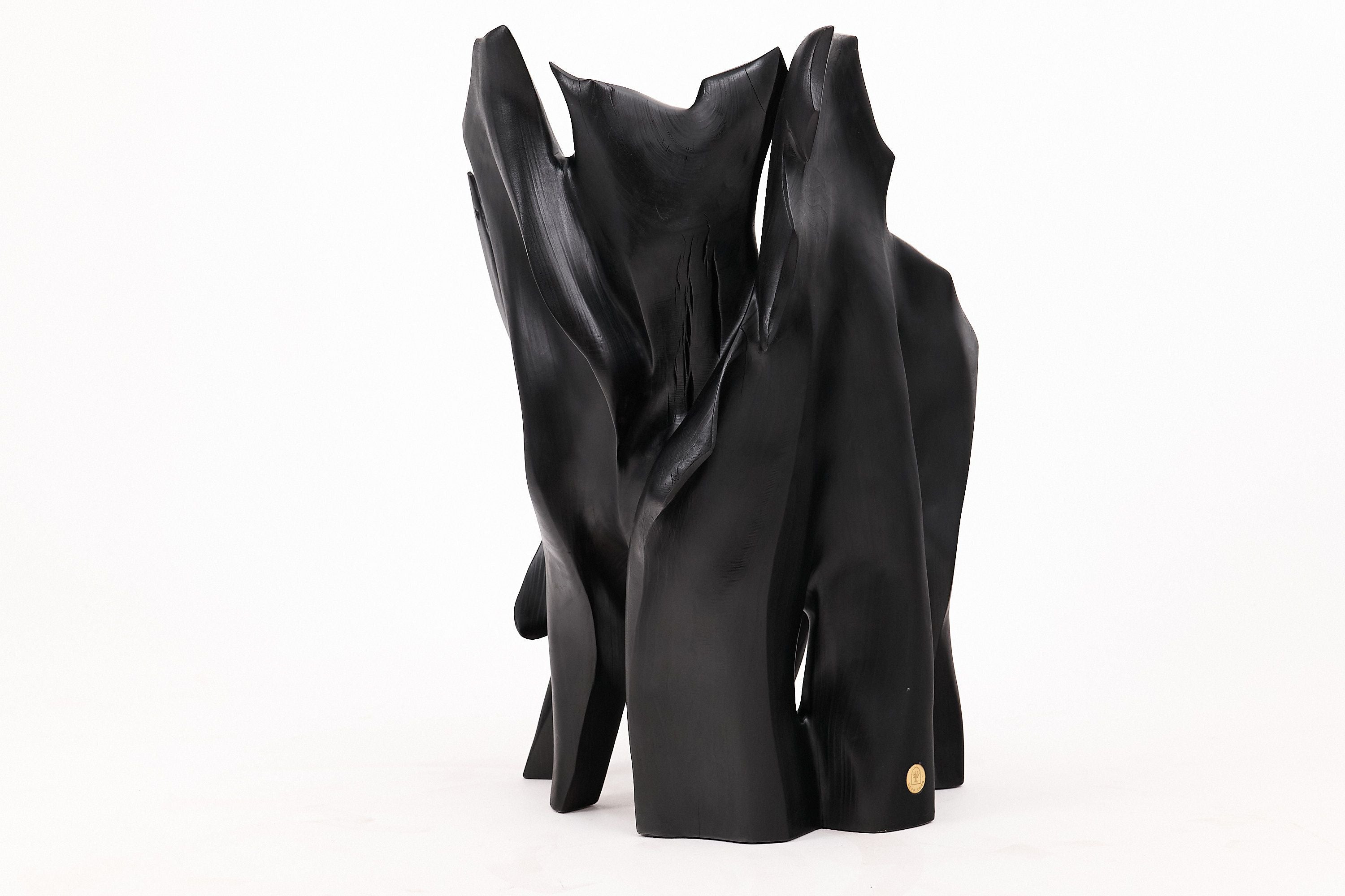 Sculptural Black Charred Wood Armchair in Organic Form by Logniture - image 13