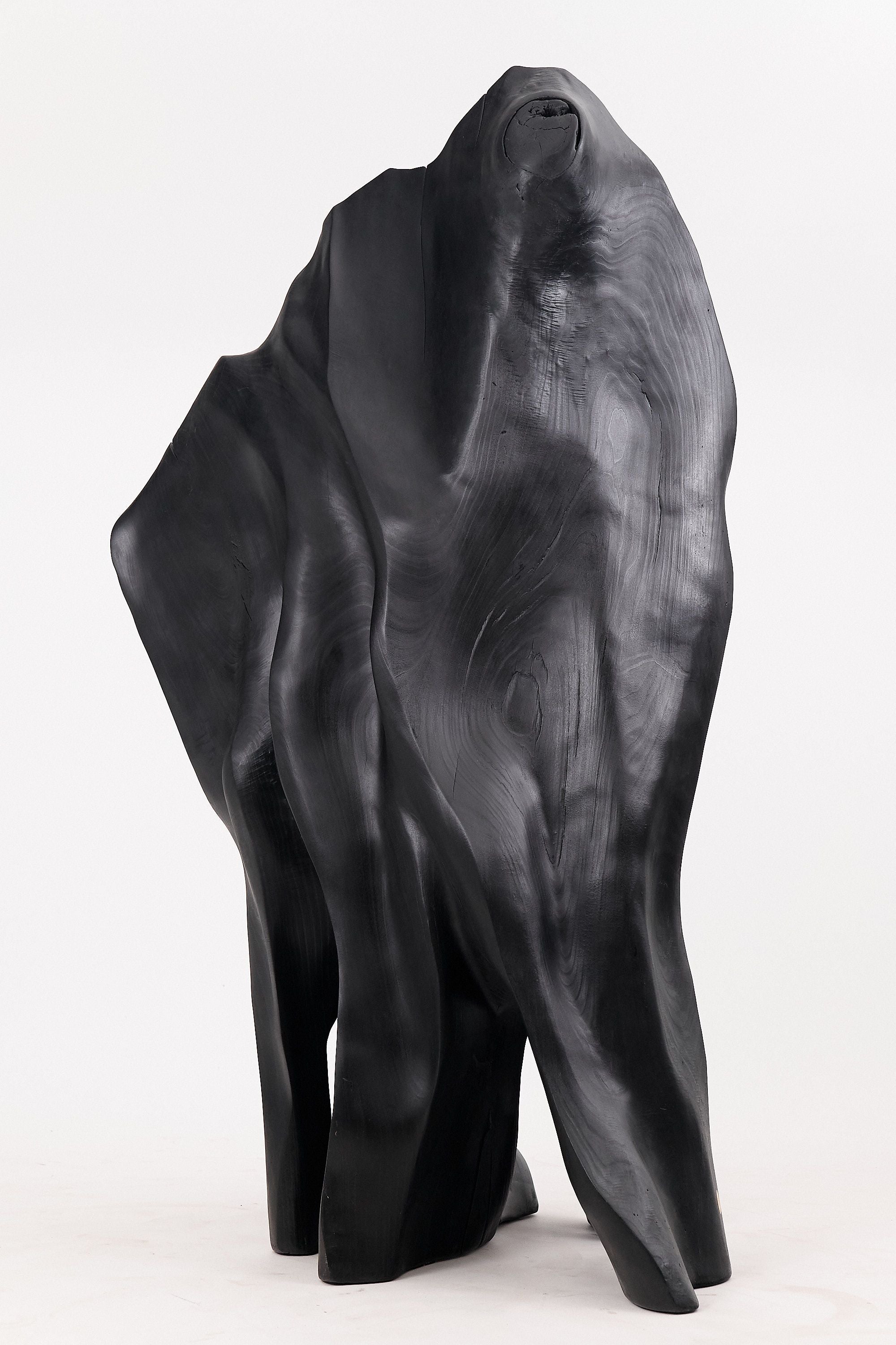 XXL Charred Black Wood Throne Chair in Organic Form by Logniture - image 13