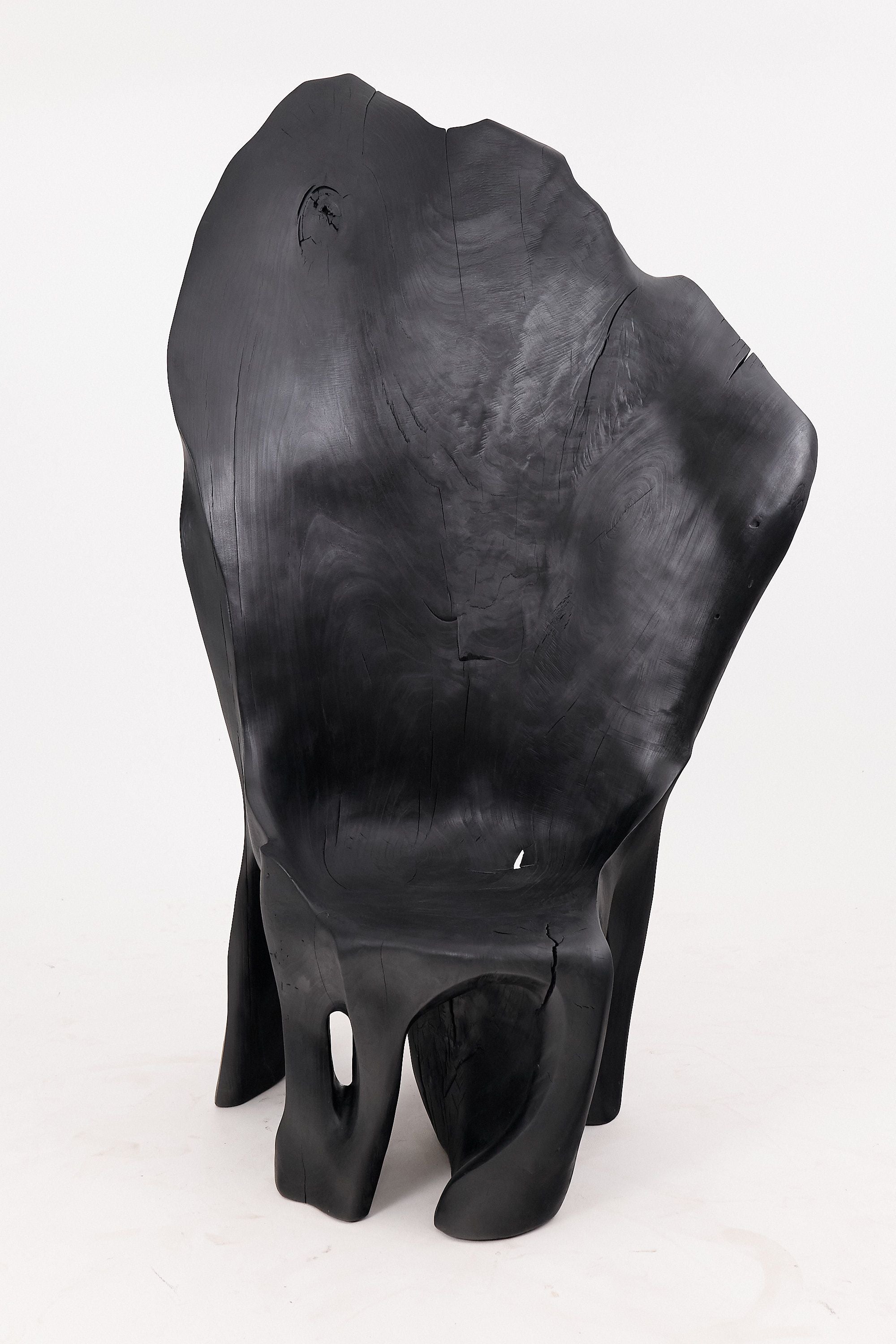 XXL Charred Black Wood Throne Chair in Organic Form by Logniture - image 2