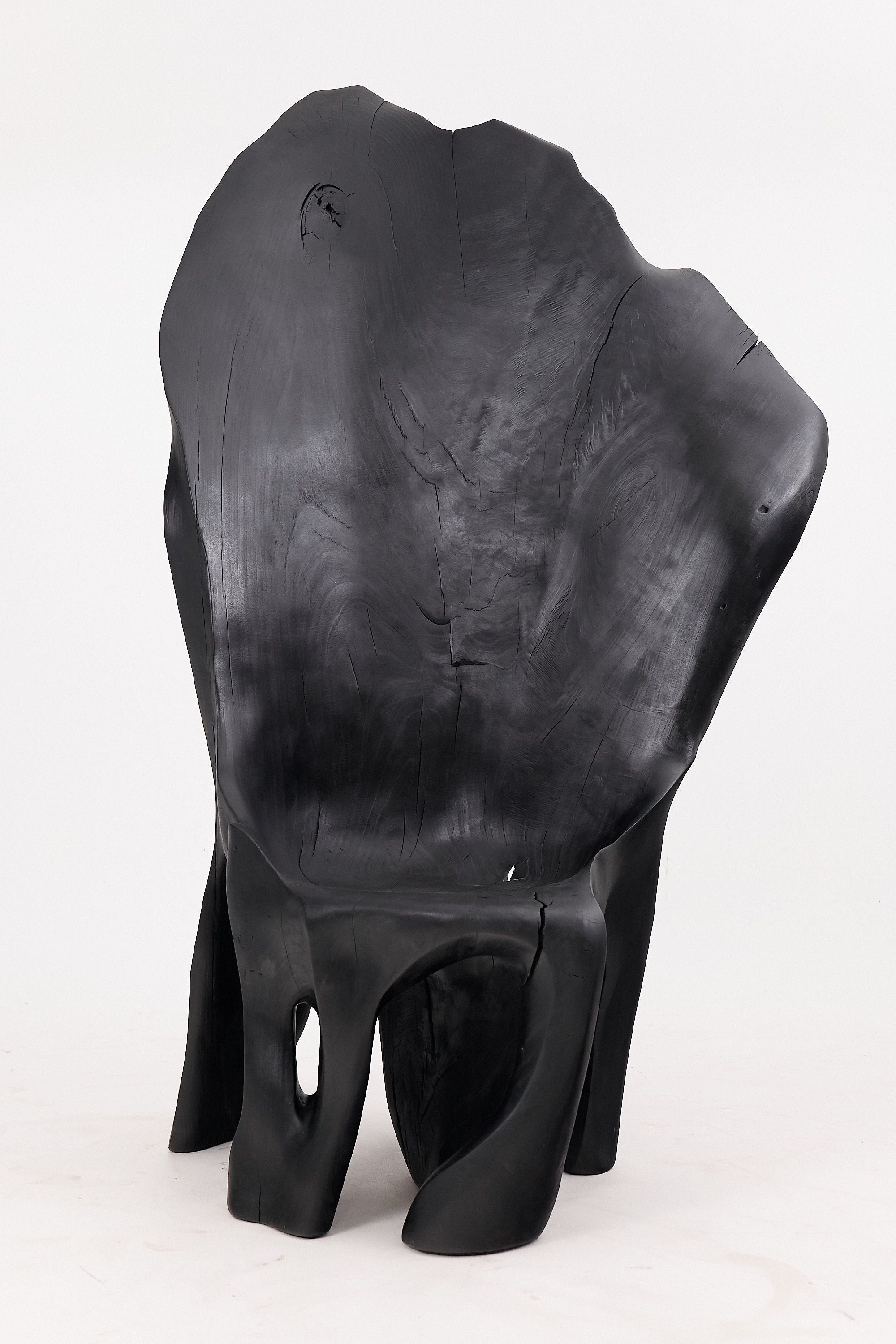 XXL Charred Black Wood Throne Chair in Organic Form by Logniture - image 3