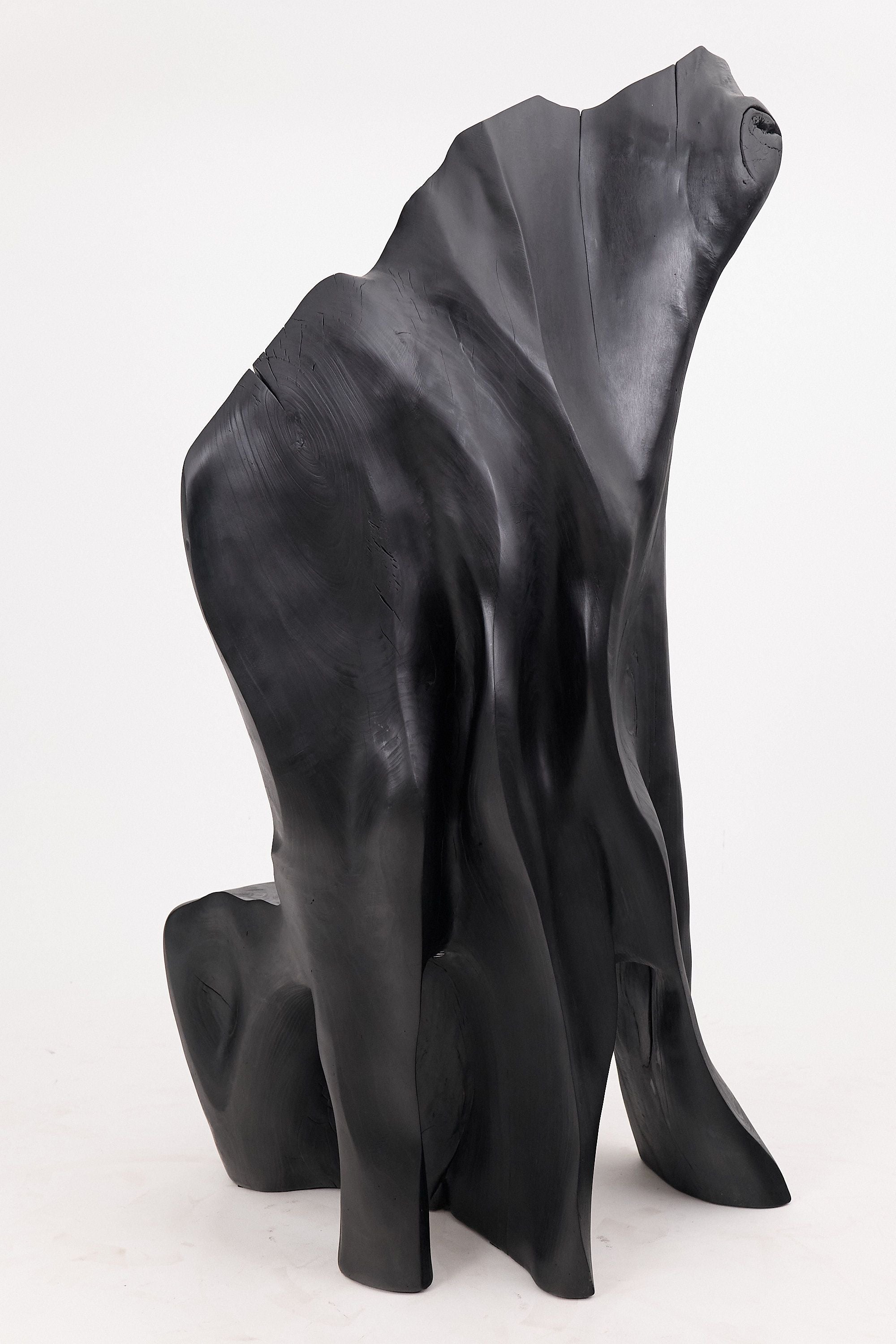 XXL Charred Black Wood Throne Chair in Organic Form by Logniture - image 7