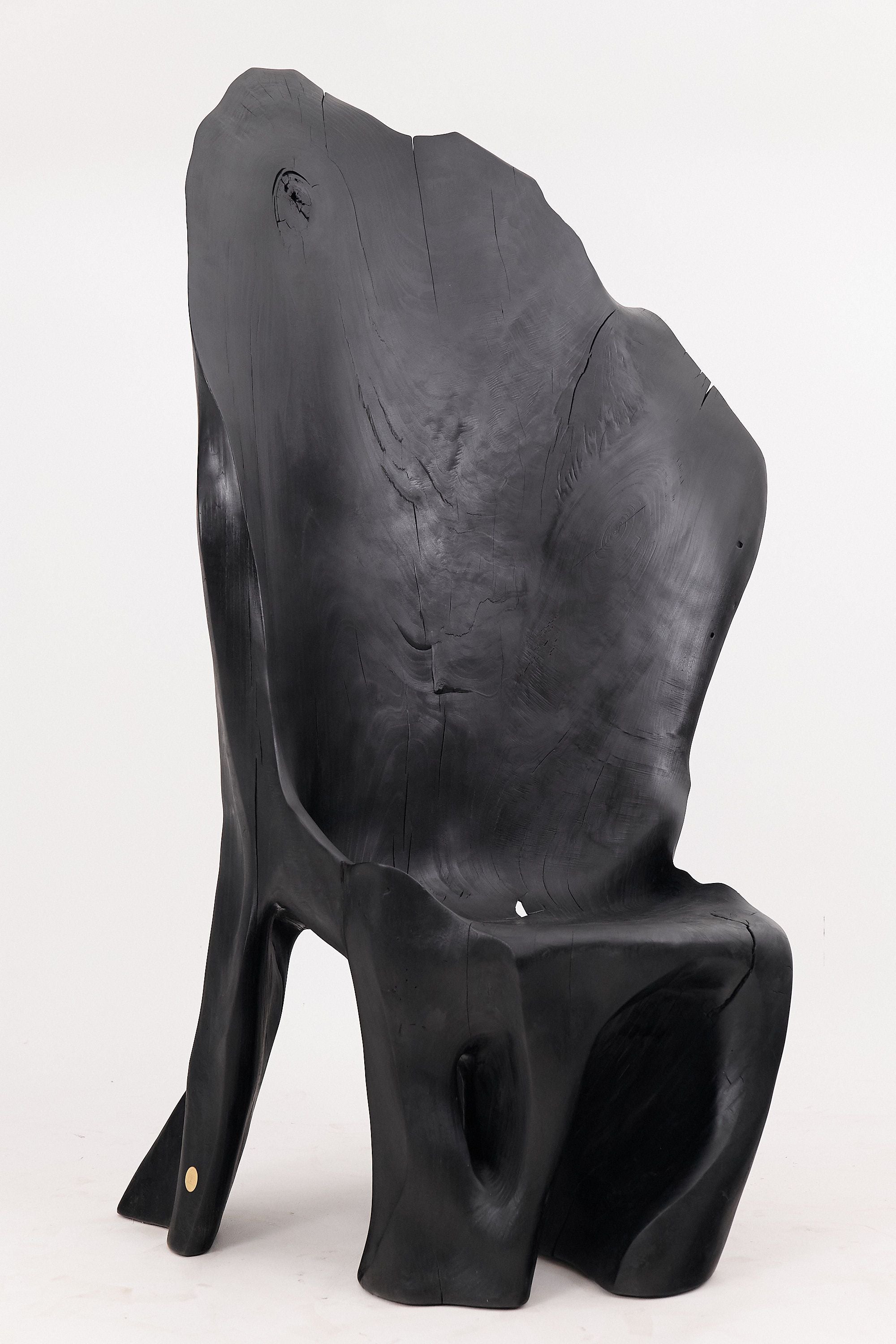 XXL Charred Black Wood Throne Chair in Organic Form by Logniture - image 20