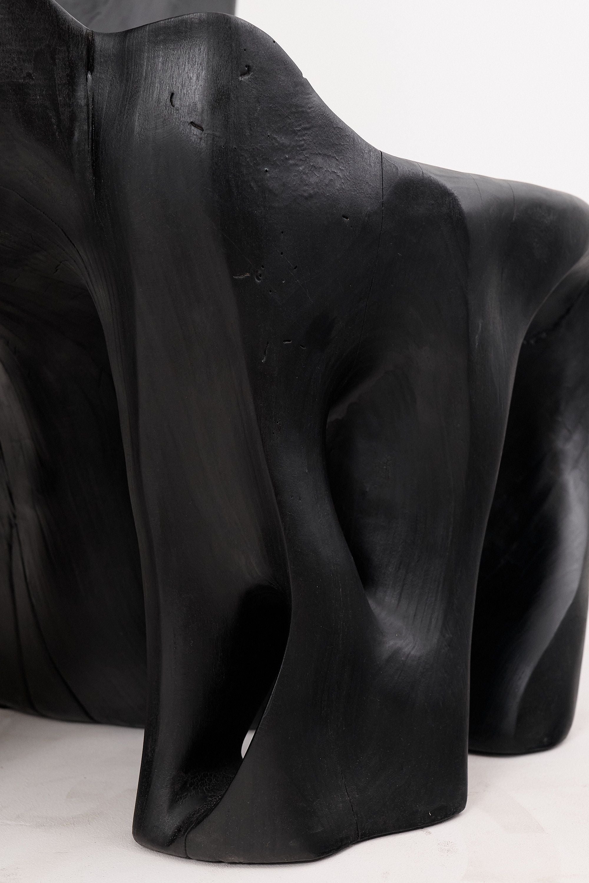 XXL Charred Black Wood Throne Chair in Organic Form by Logniture - image 19