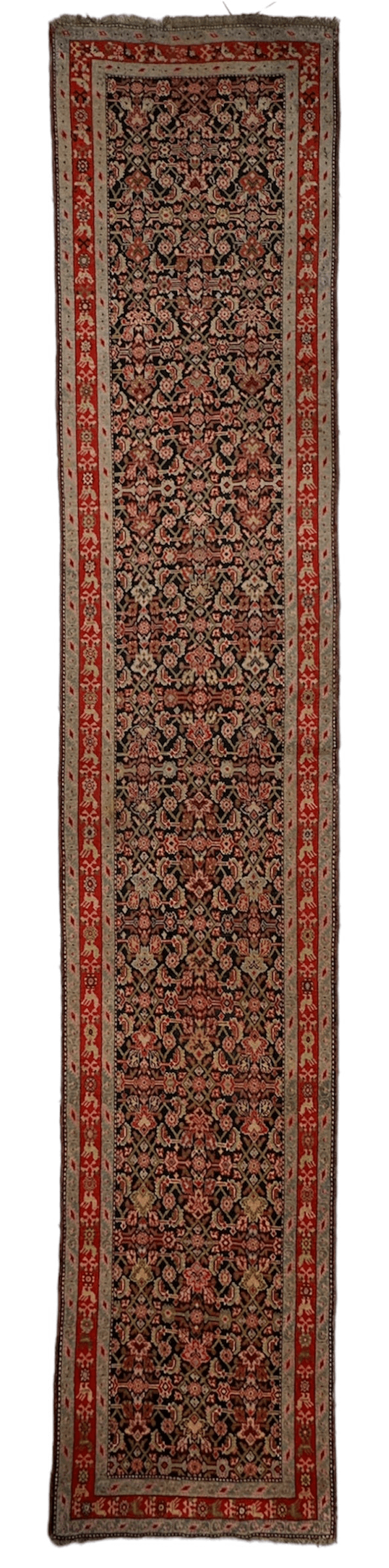Antique Caucasian Runner 3x17 | Navy, Red & Ivory | Hand-Knotted Wool - Rugistan, view 7
