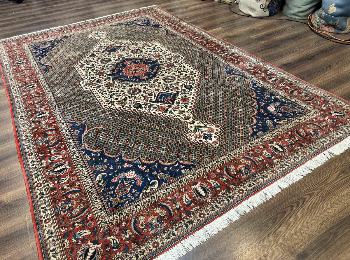Persian Rug 7x10, Bakhtiari Saman Rug, Unique Design and Colors, Ivory Red Blue, Large Tribal Rug - Jewel Rugs, view 12