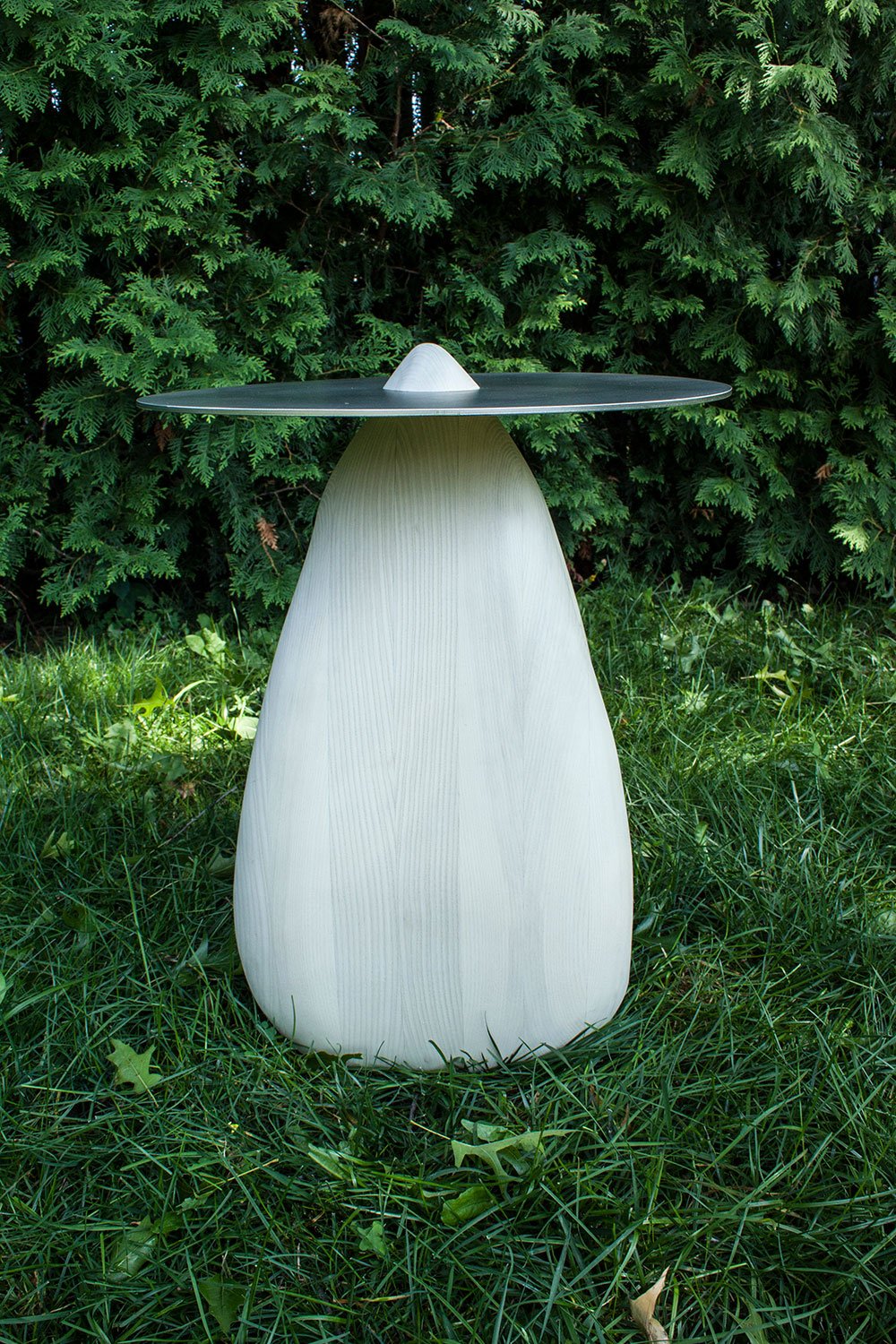 Odace image 2