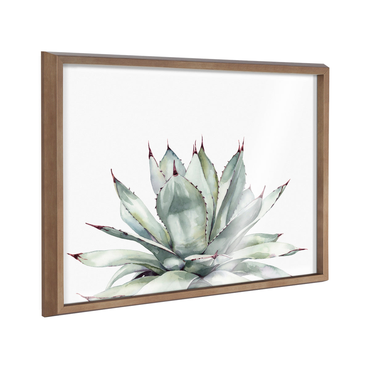 Blake Parrys Agave Framed Printed Glass by Emily Marie Watercolors