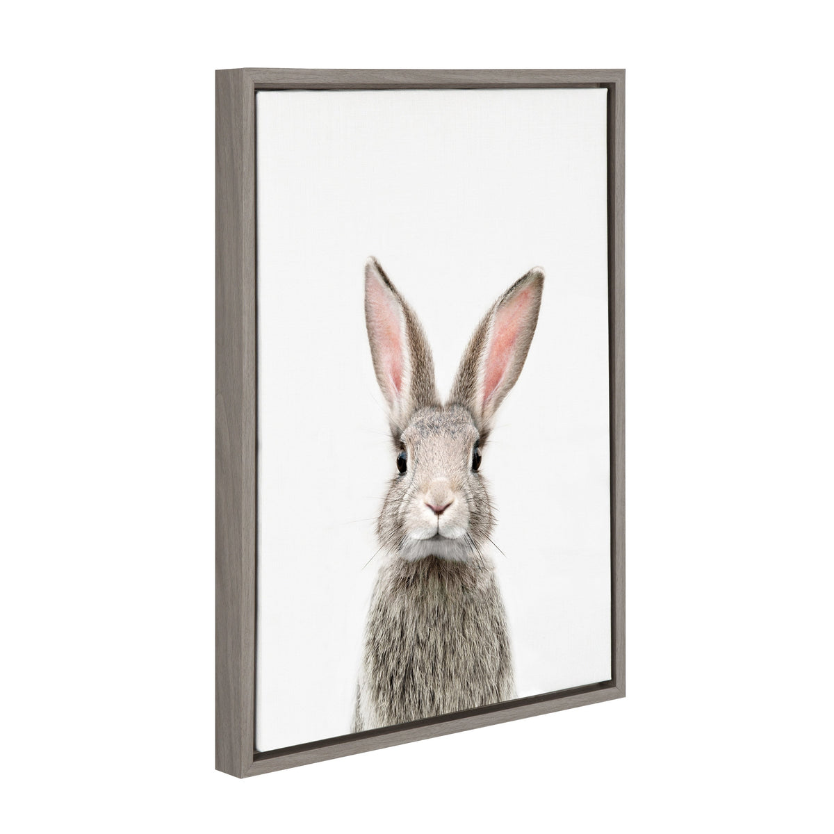 Sylvie Young Rabbit Framed Canvas by Amy Peterson Art Studio
