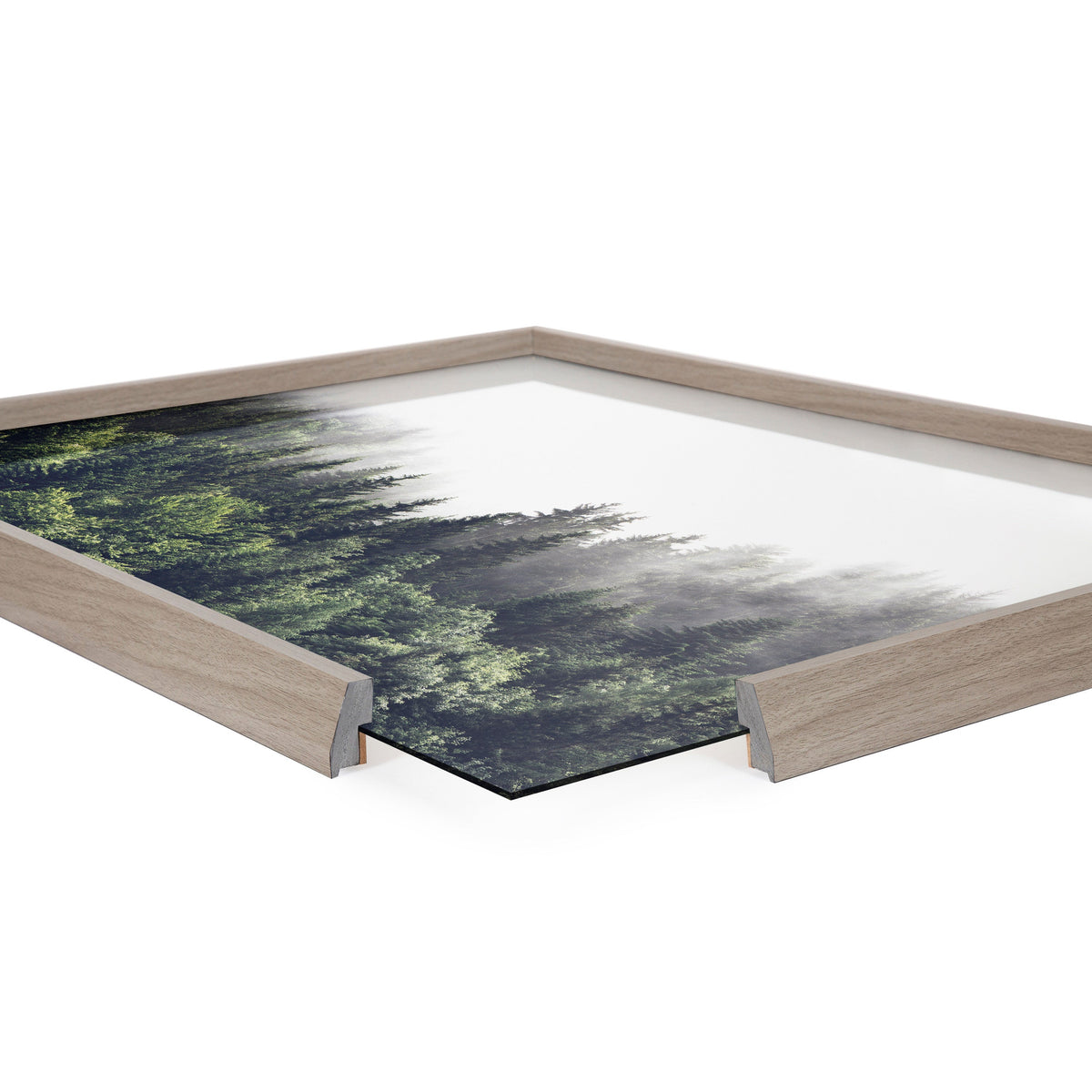 Blake Lush Green Forest on a Foggy Day Framed Printed Glass by The Creative Bunch Studio
