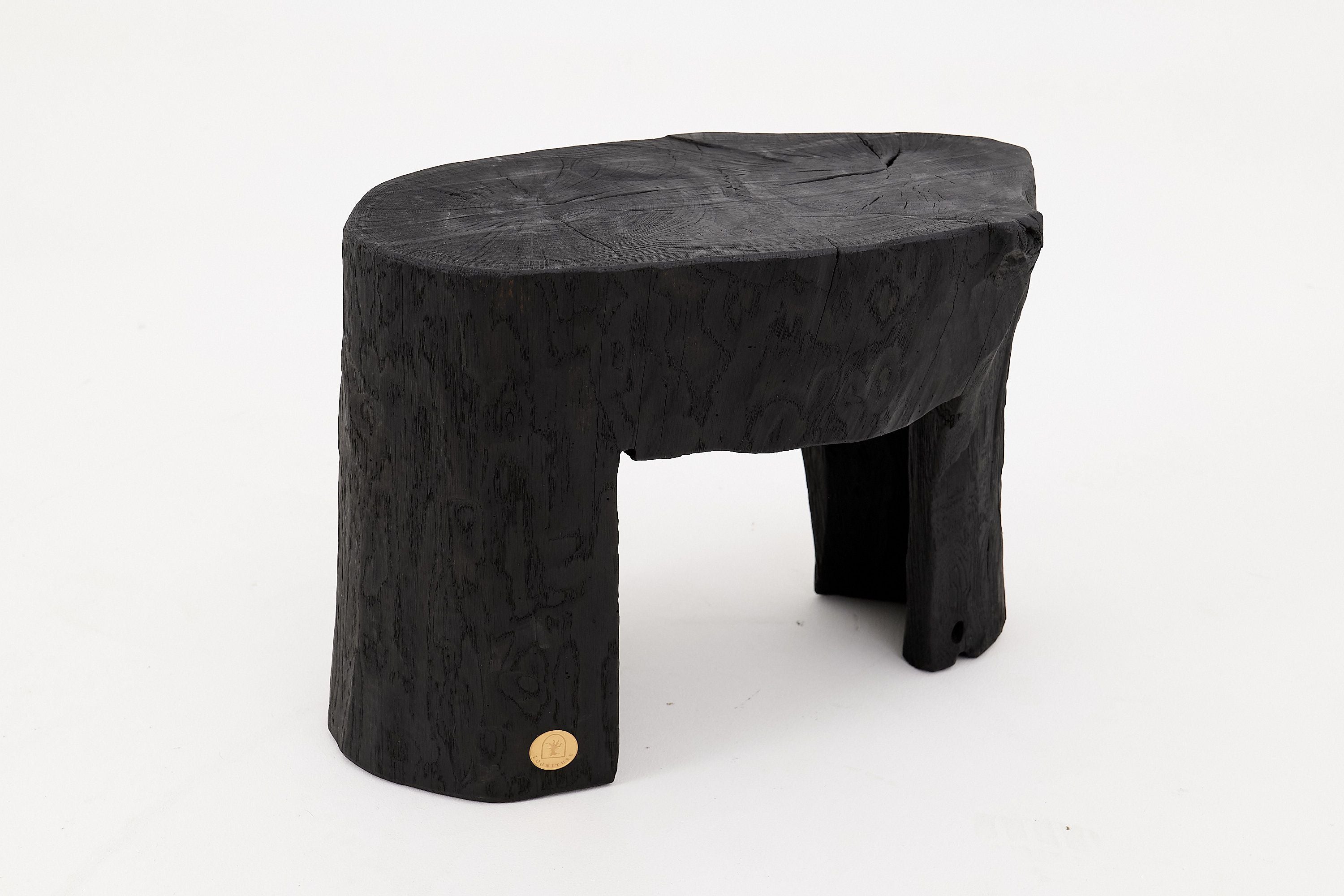 Rustic Sculptural Side Table, Burnt Black Wood, Carved, Unique, Logniture
