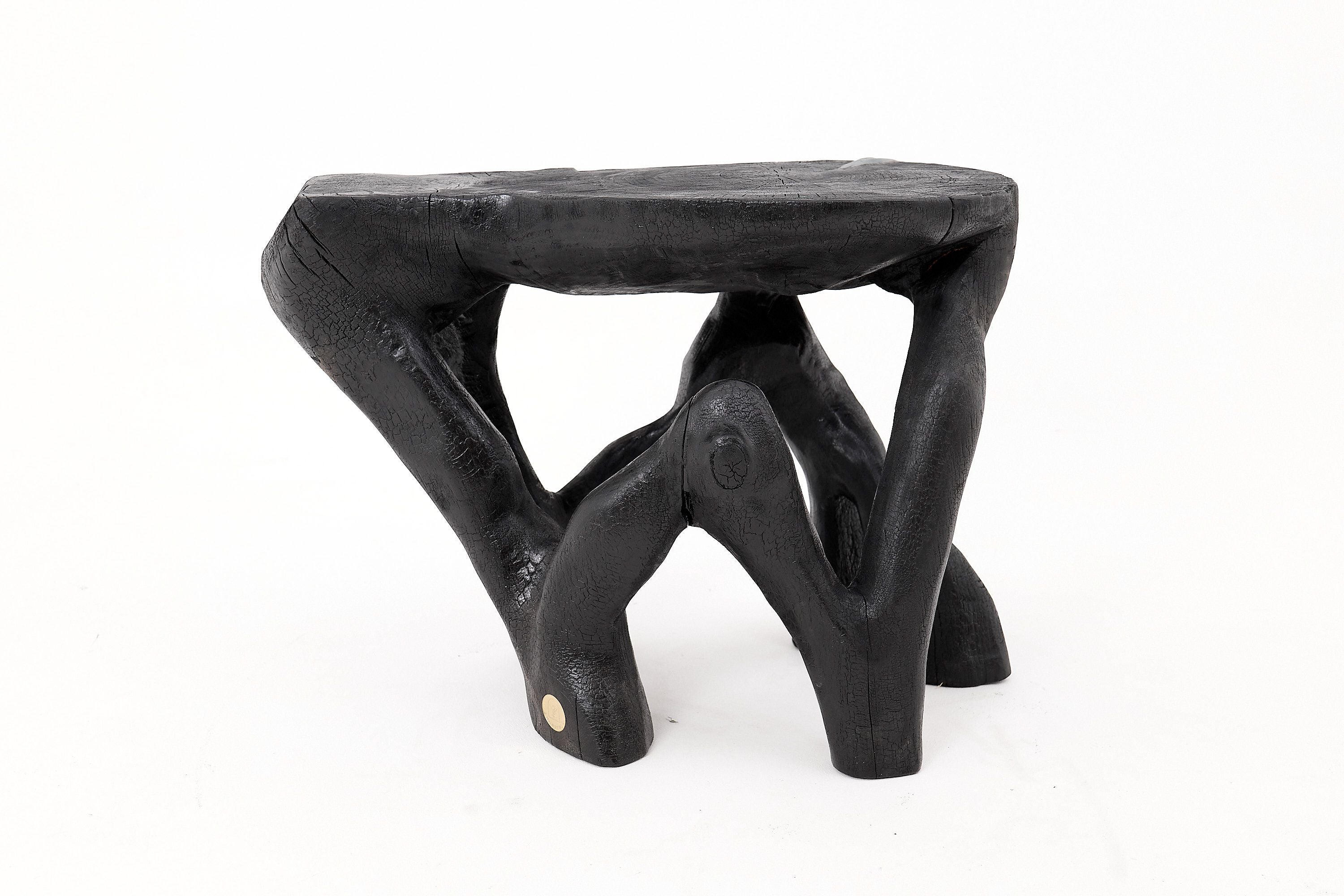 Rustic Sculptural Coffee Table, Burnt Black Wood, Carved, Unique, Logniture - image 4