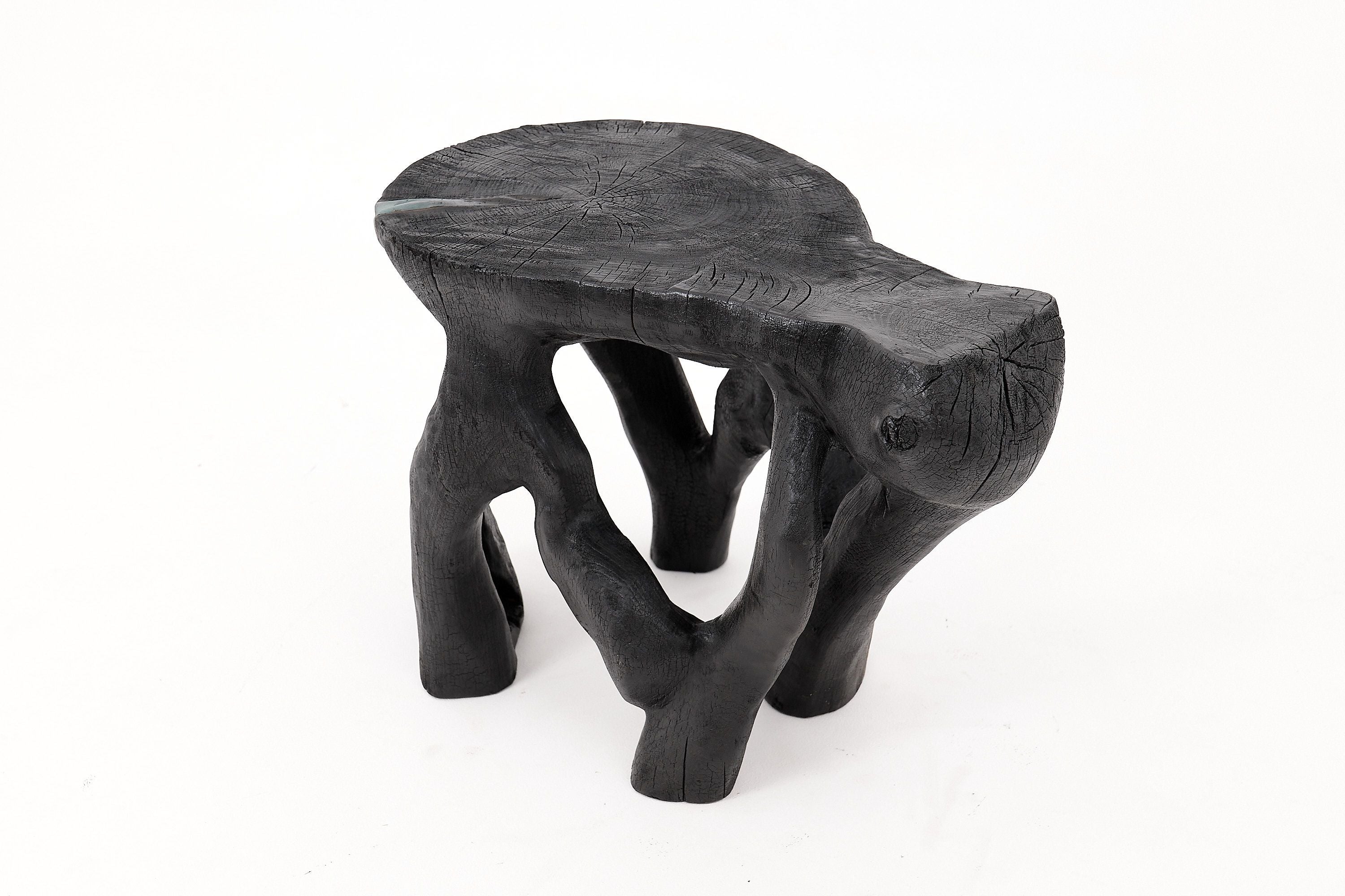 Rustic Sculptural Coffee Table, Burnt Black Wood, Carved, Unique, Logniture - image 14
