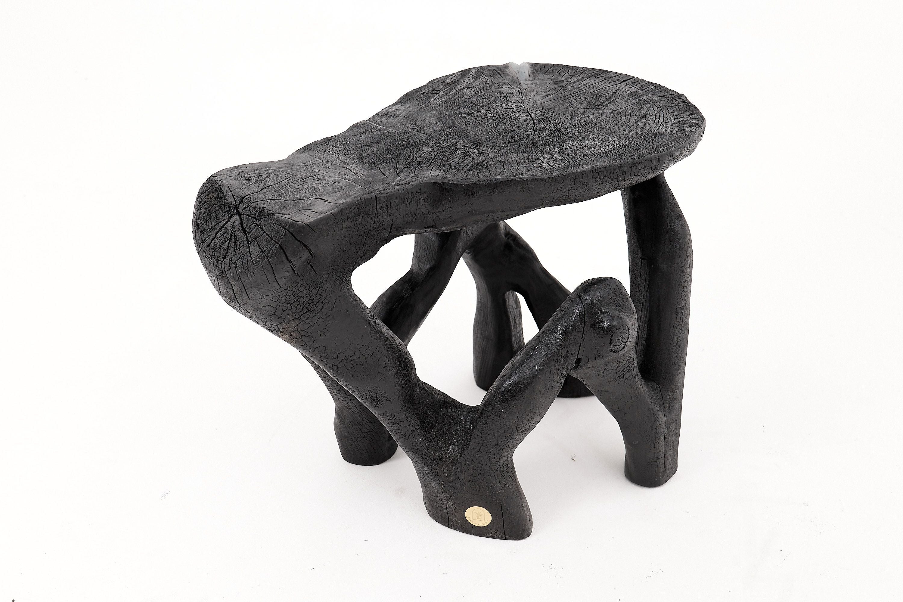 Rustic Sculptural Coffee Table, Burnt Black Wood, Carved, Unique, Logniture - image 18