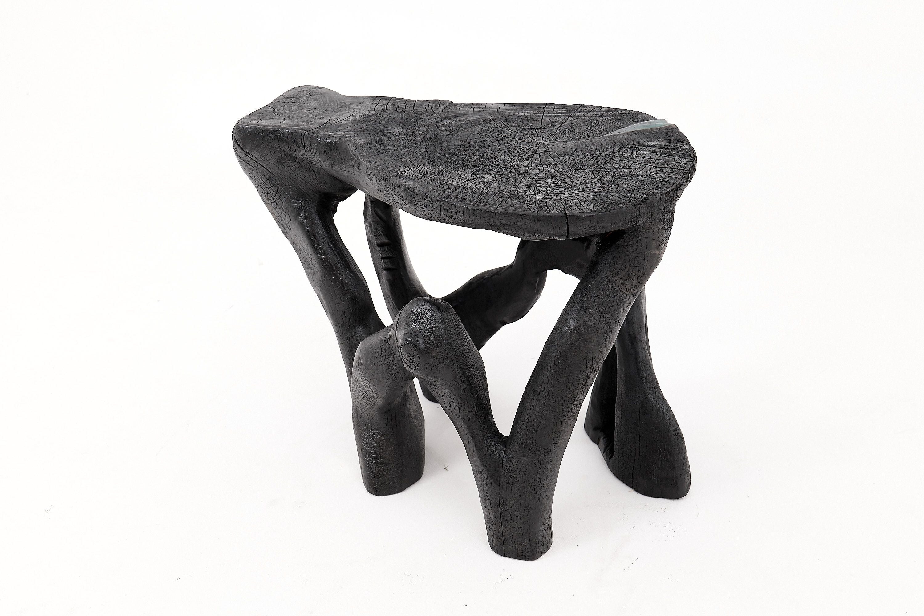 Rustic Sculptural Coffee Table, Burnt Black Wood, Carved, Unique, Logniture - image 7