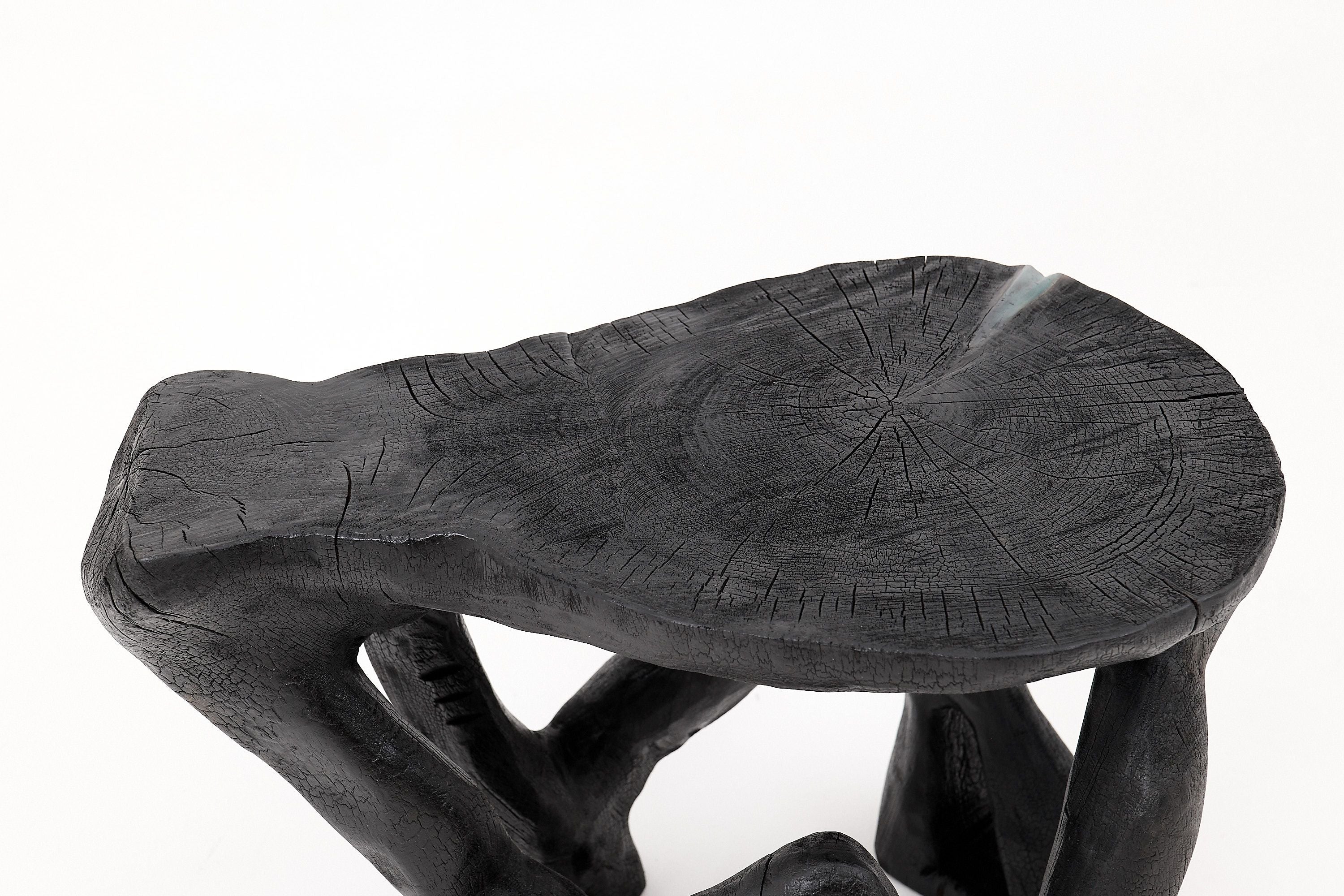 Rustic Sculptural Coffee Table, Burnt Black Wood, Carved, Unique, Logniture - image 5