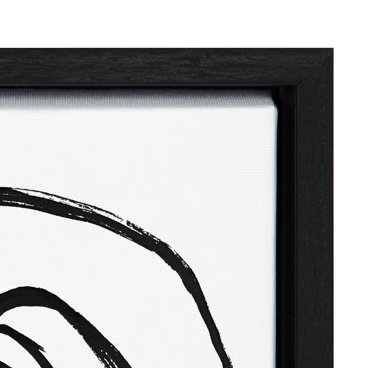 Sylvie Ring of Light 2 Framed Canvas by Nikki Chu