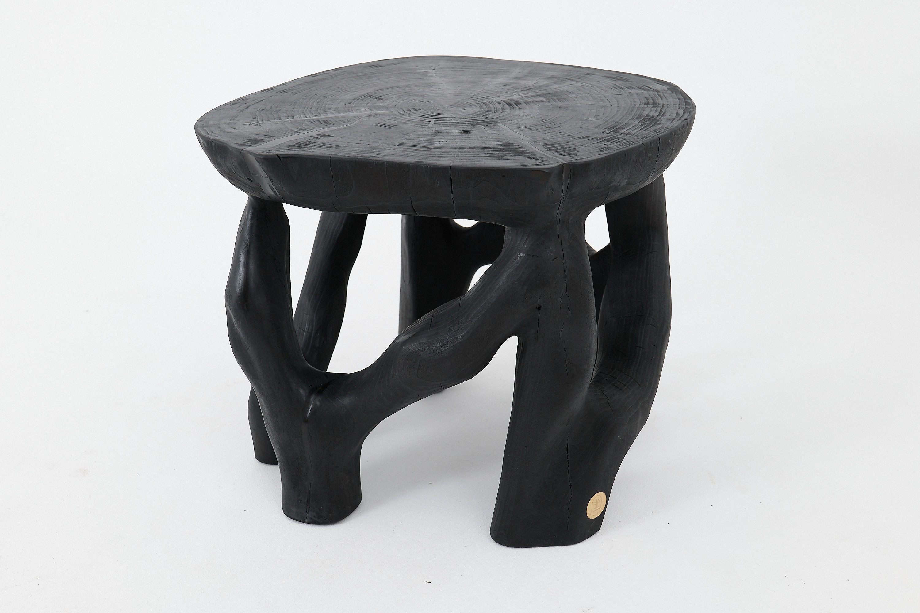 Sculptural Coffee Table, Solid Wood, Contemporary Design, Handmade - image 8