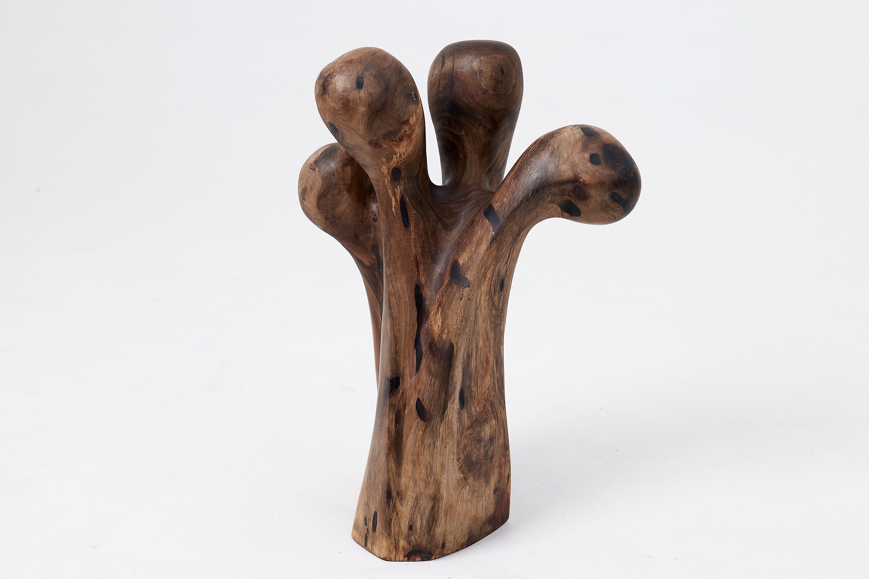 Still Stand Abstract Wood Sculpture, Chainsaw Carved, Walnut - image 14